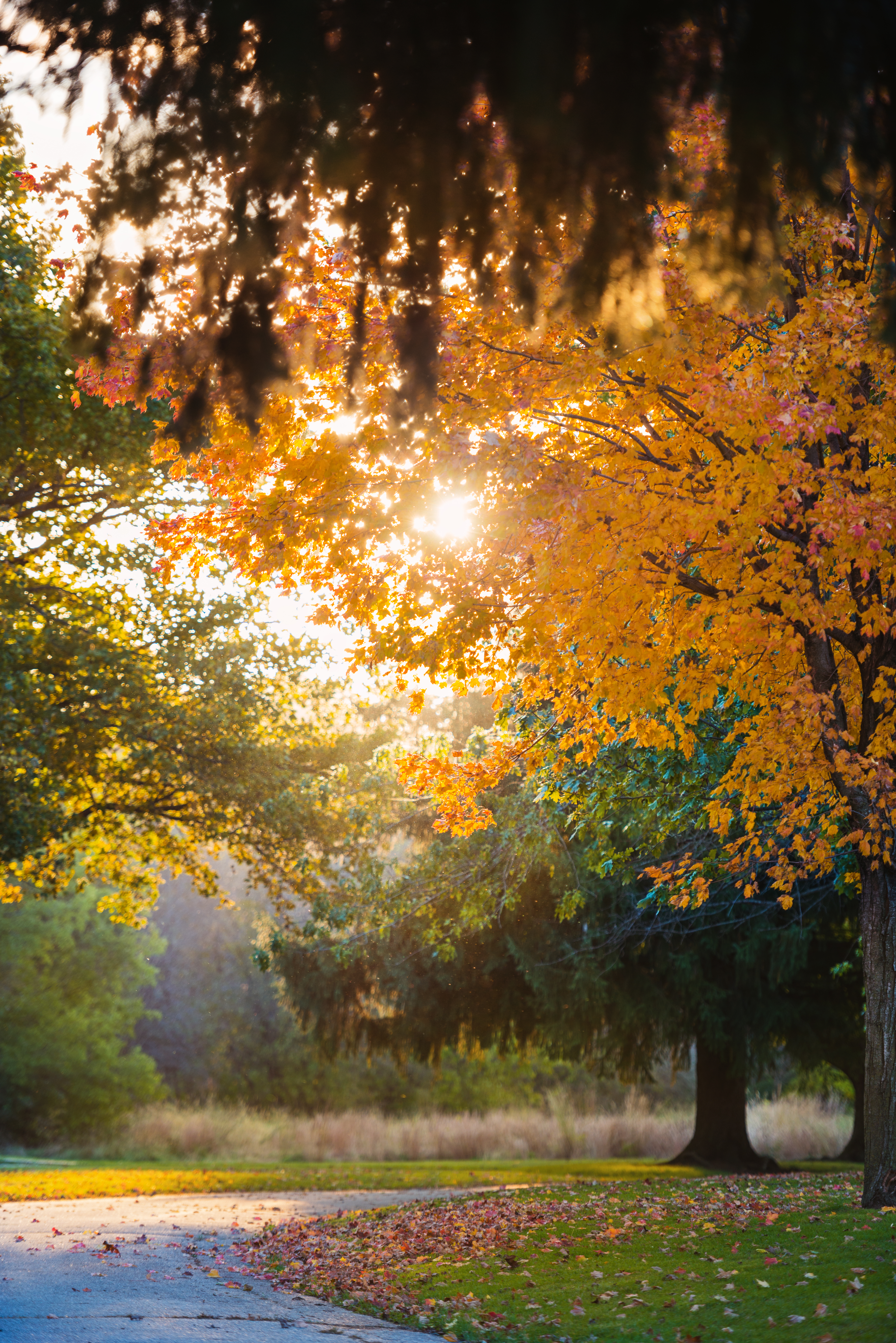 Iowa Fall by Paul Kestel