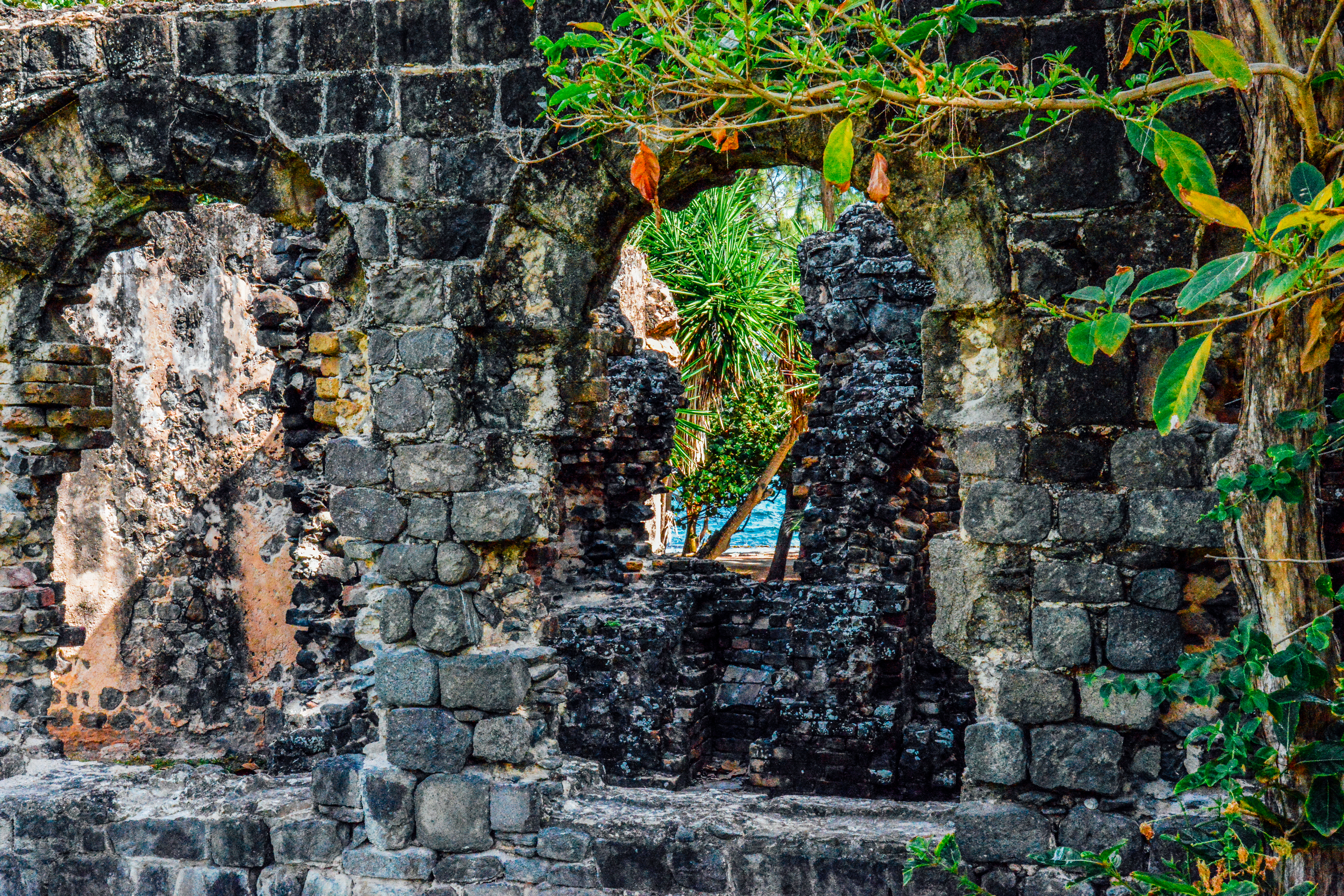 Arched Windows in Fort Rodney by Paul Kestel