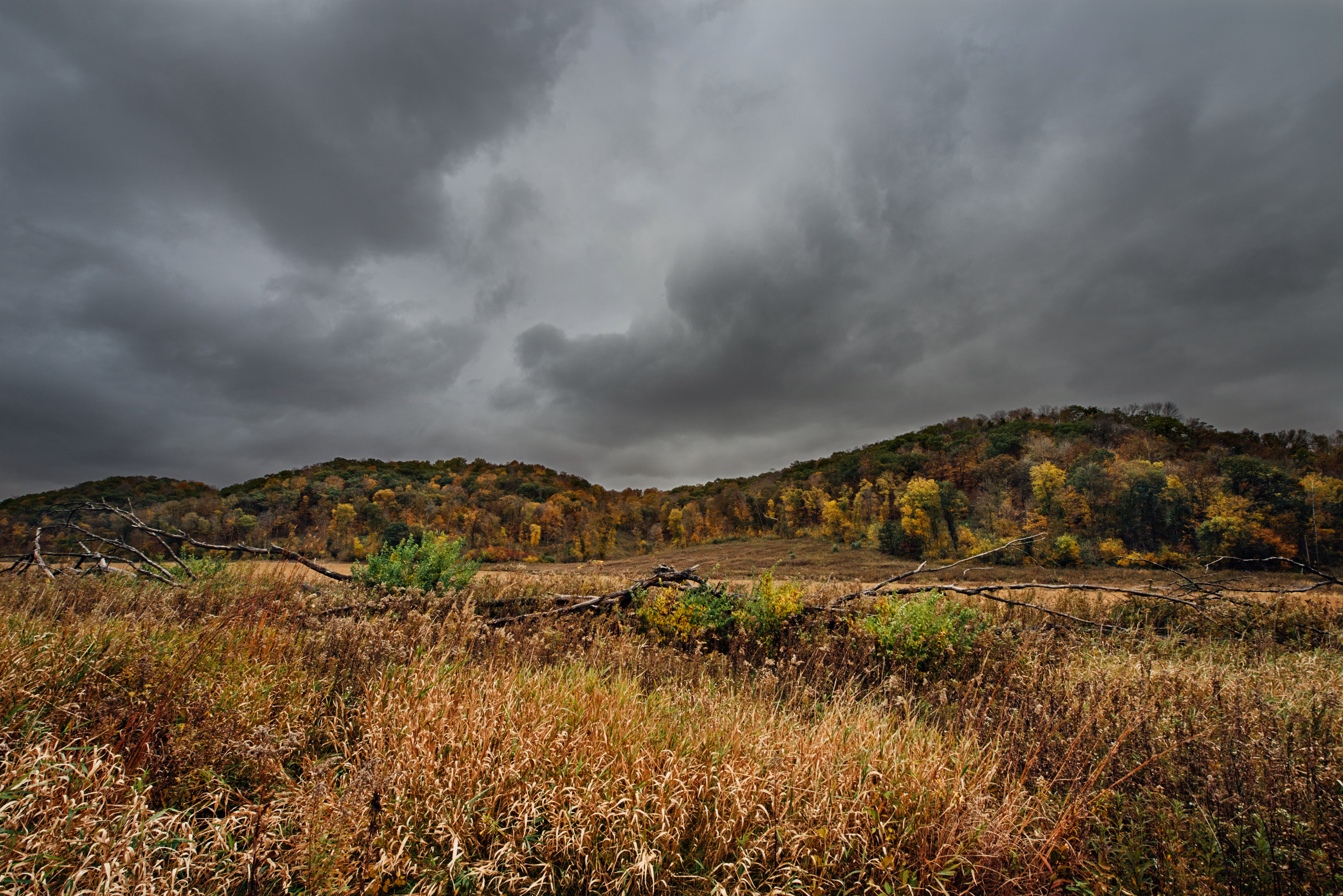 Storm Clouds by Paul Kestel