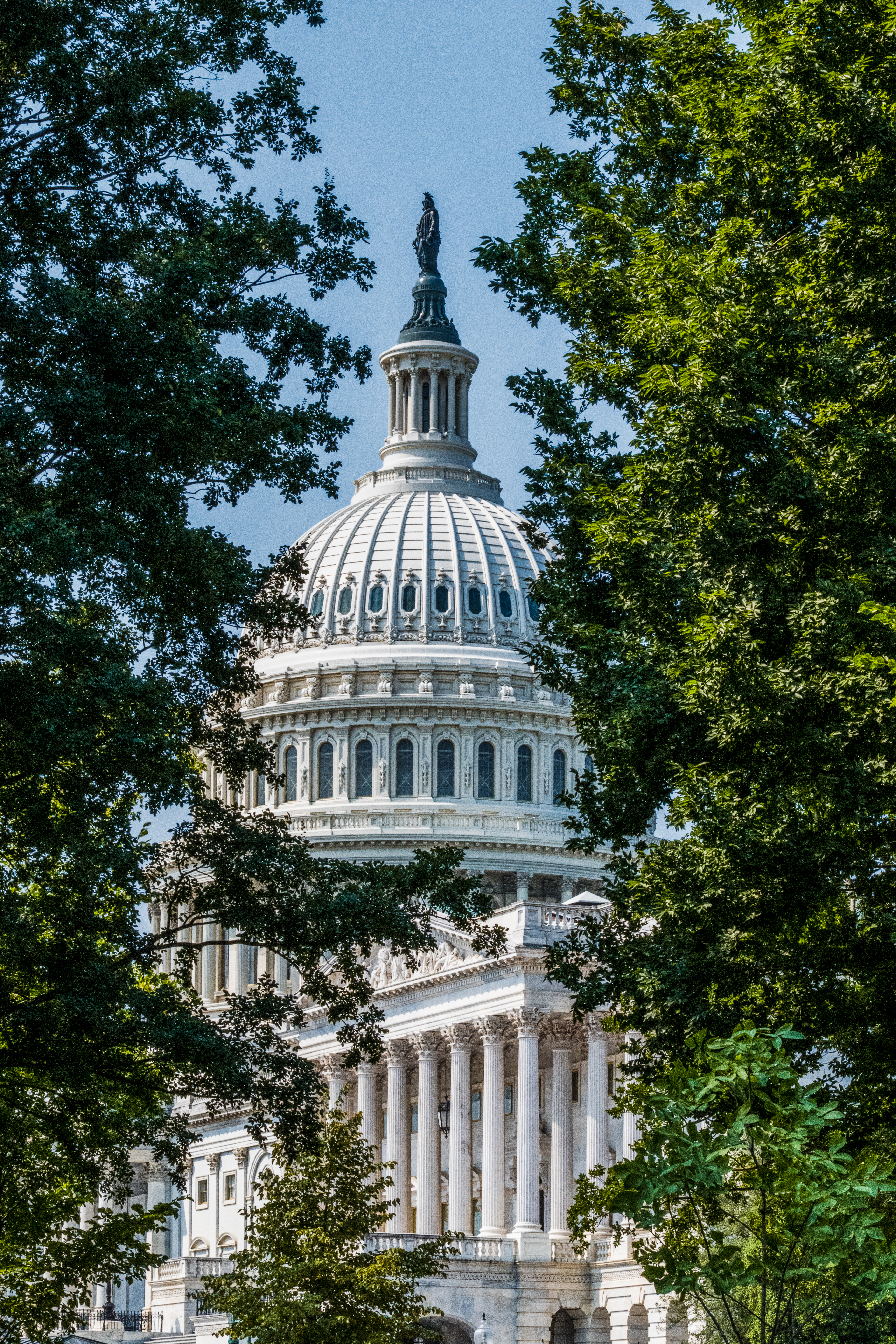 US Capital Dome by Paul Kestel