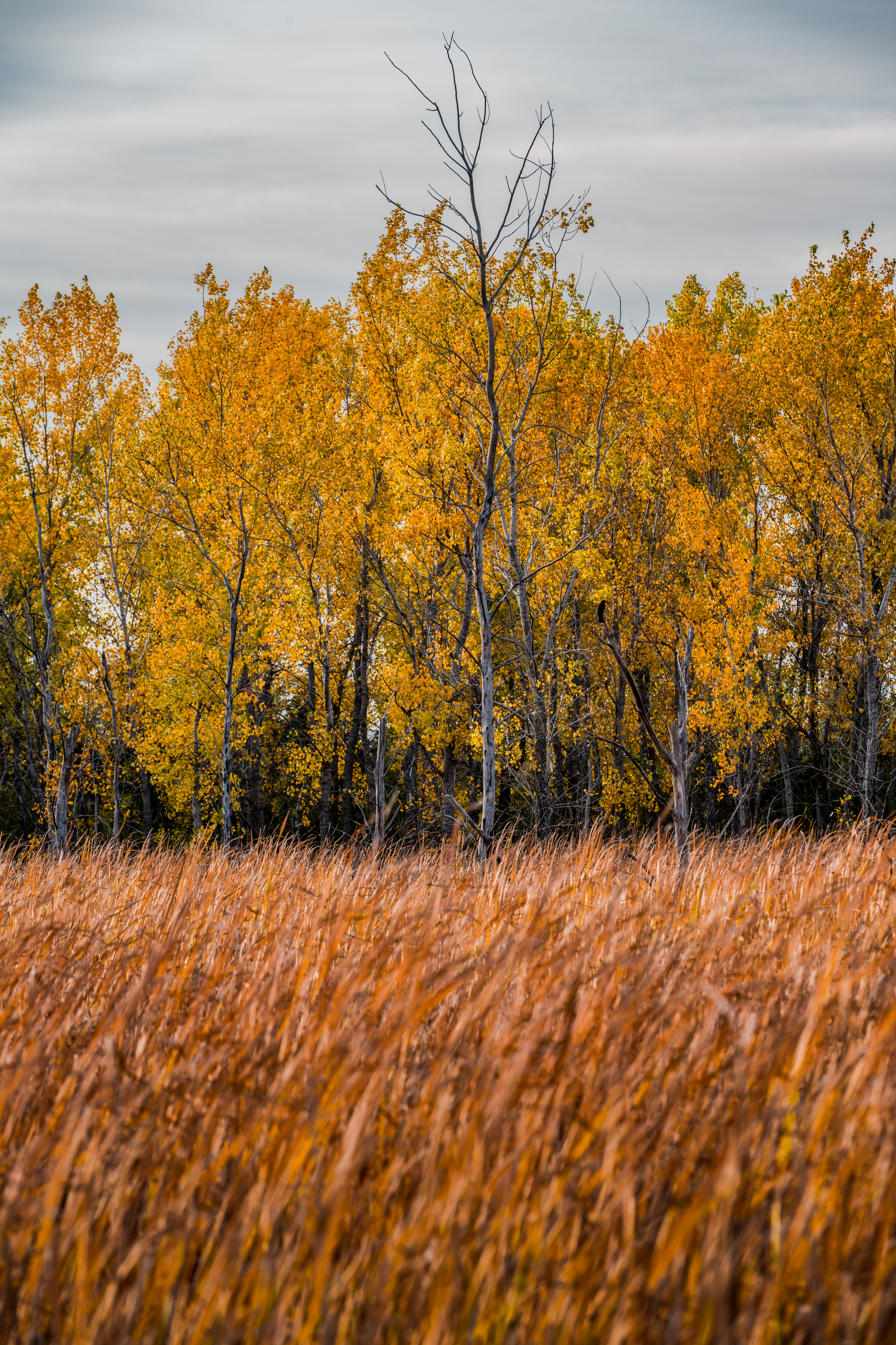 Interstate 380 In The Fall by Paul Kestel