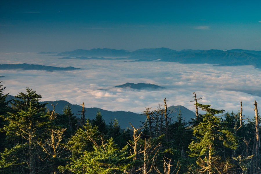 Cloud Inversion by Paul Kestel