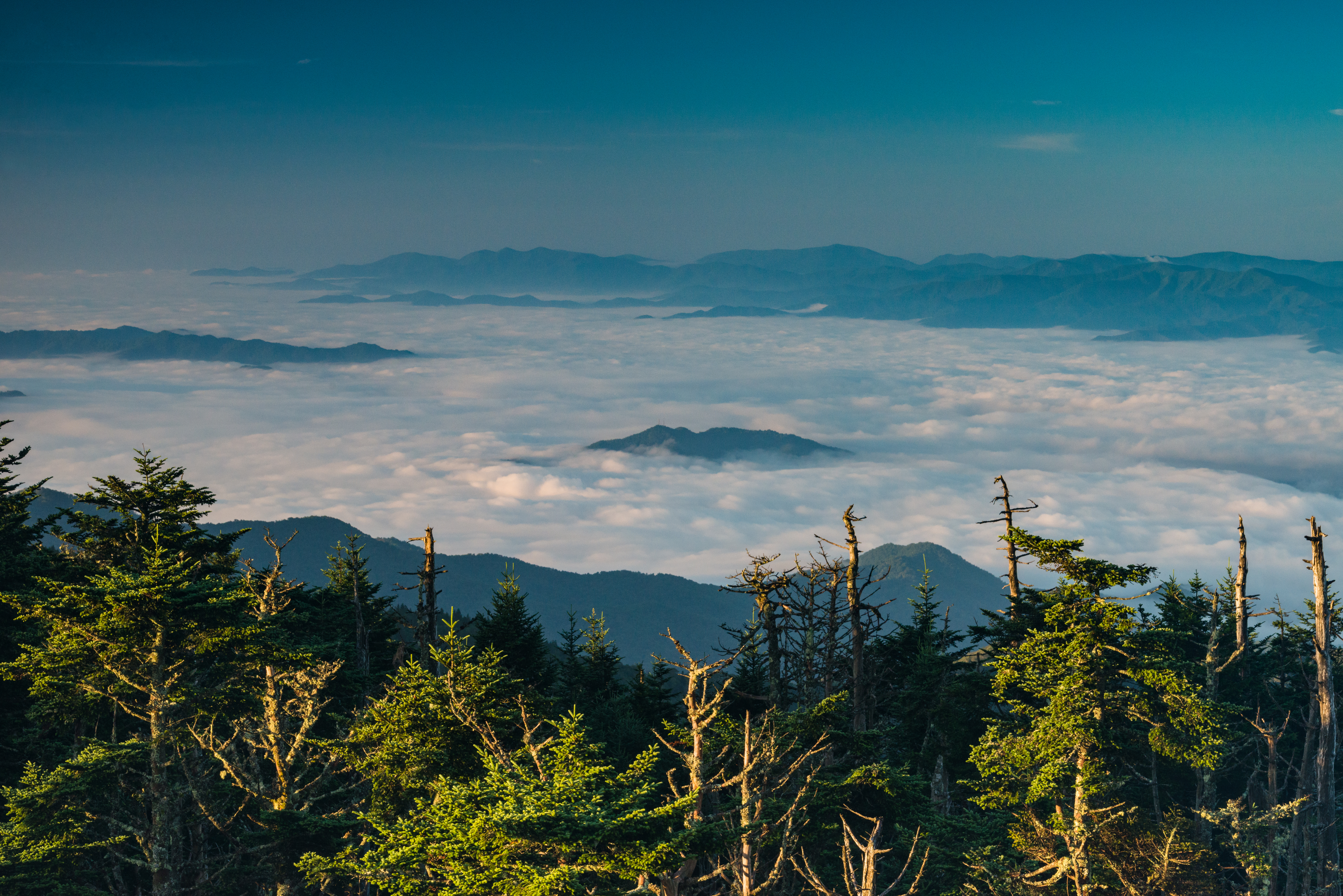 Cloud Inversion by Paul Kestel