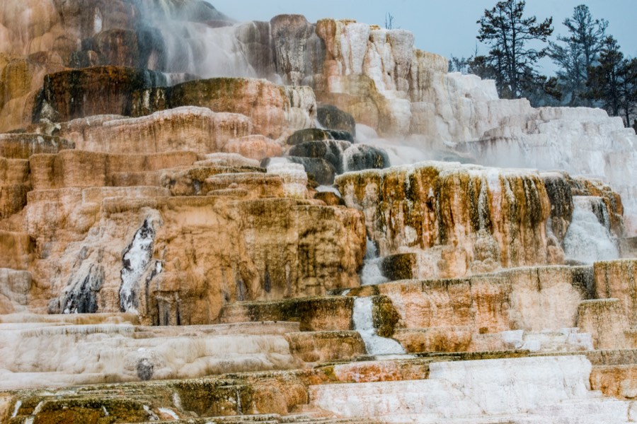 Mammoth Hot Spring Terraces by Paul Kestel