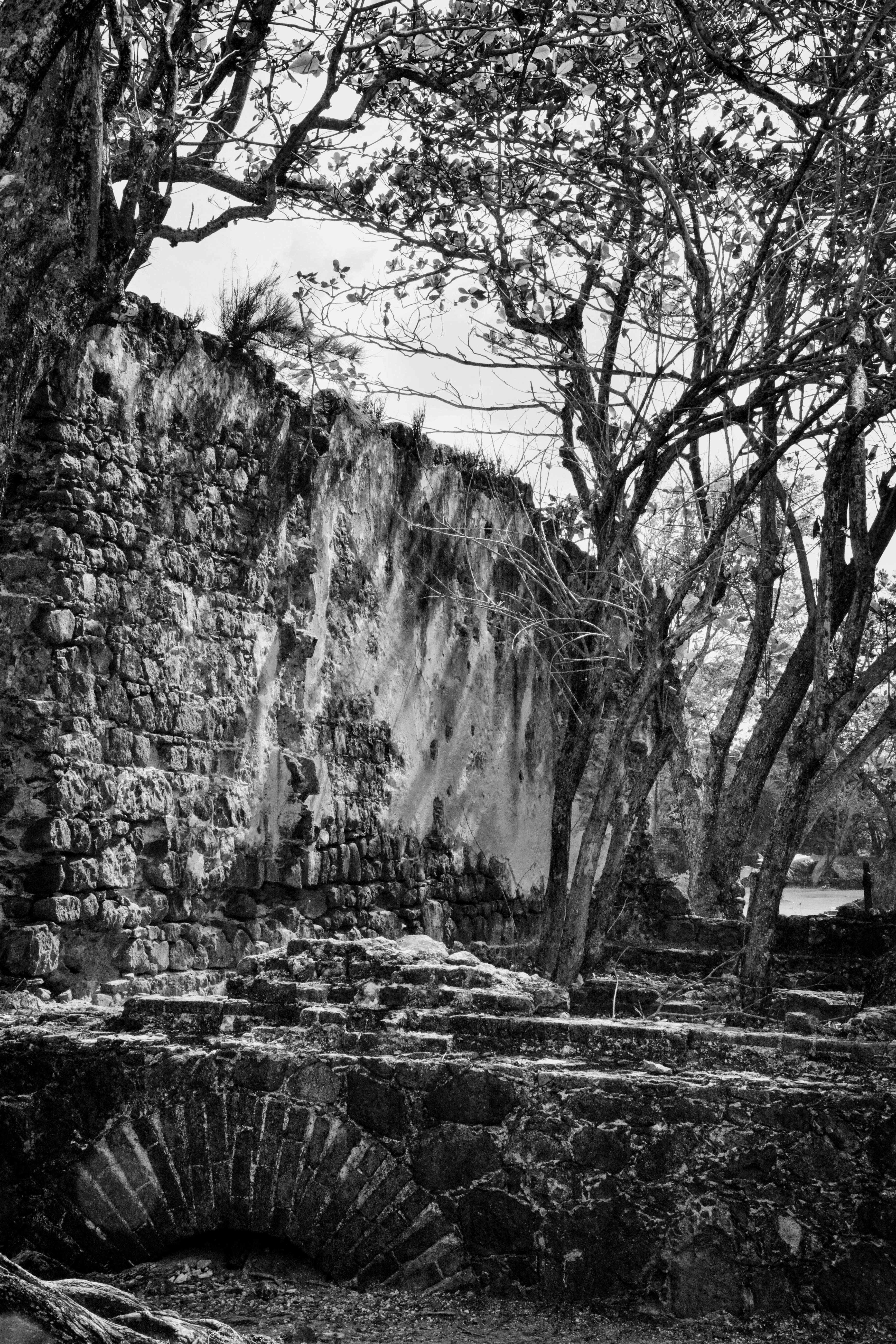 Nature is taking over Fort Rodney B&W by Paul Kestel