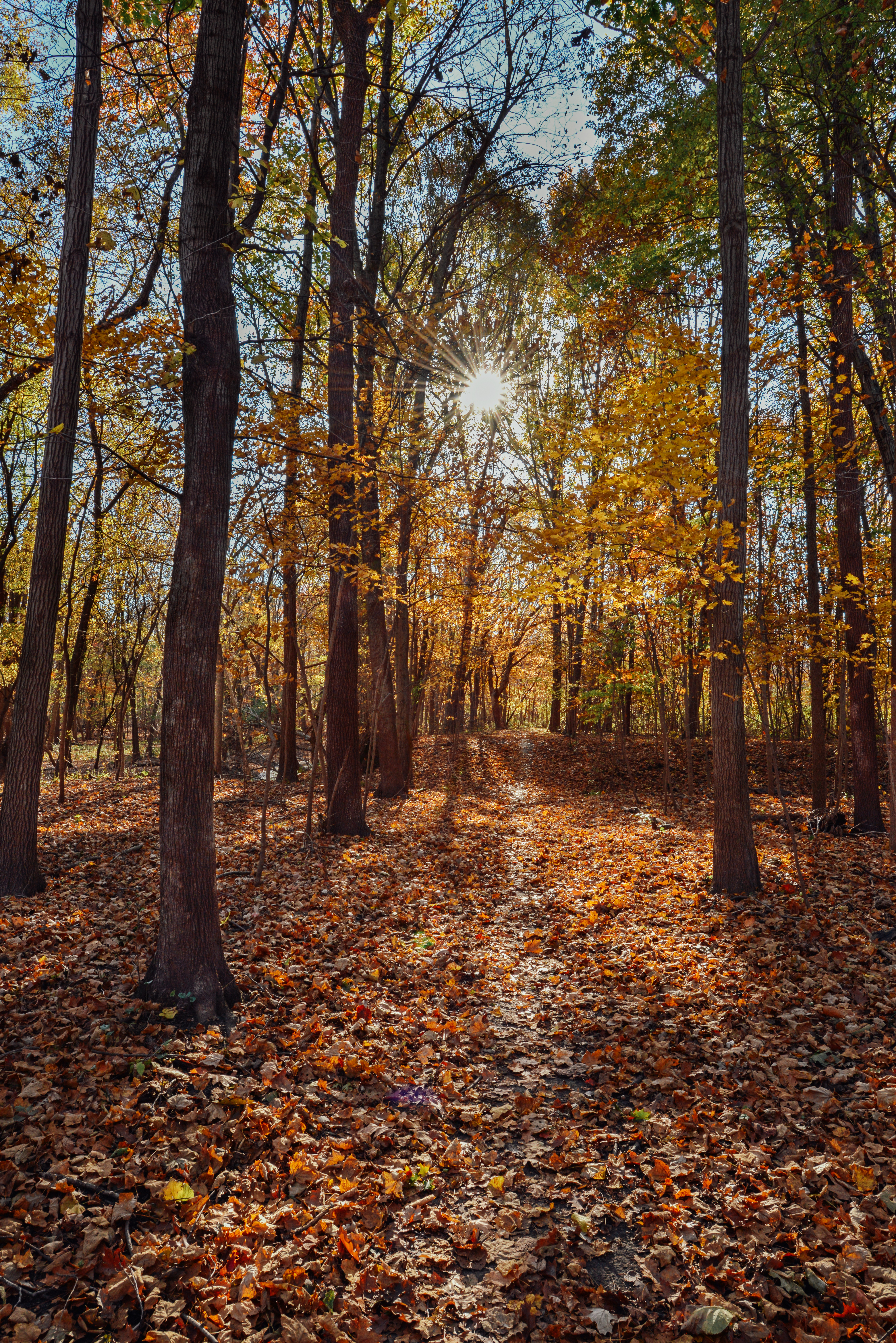 Ledges State Park by Paul Kestel