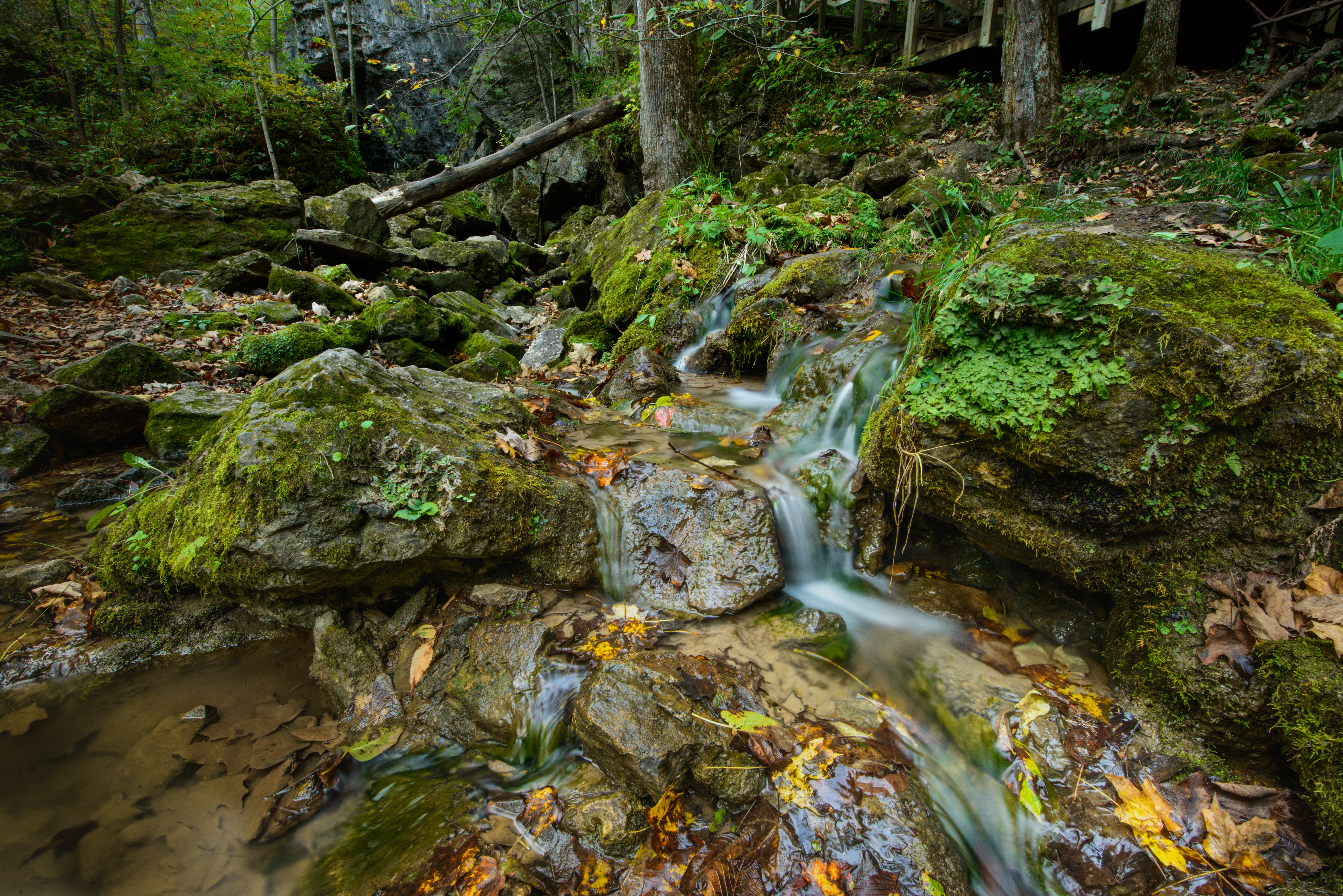 Creek in Maquoketa Caves State Park by Paul Kestel