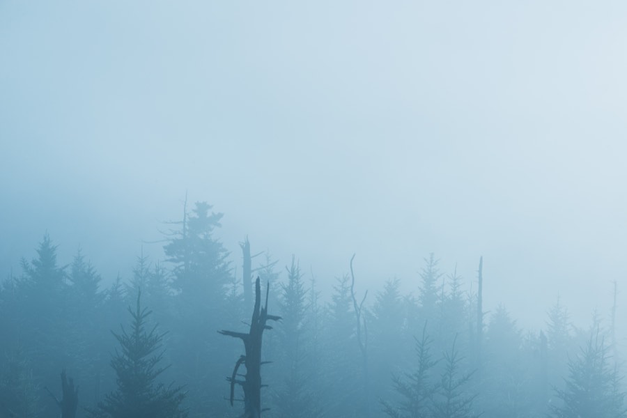 Blue Fog by Paul Kestel
