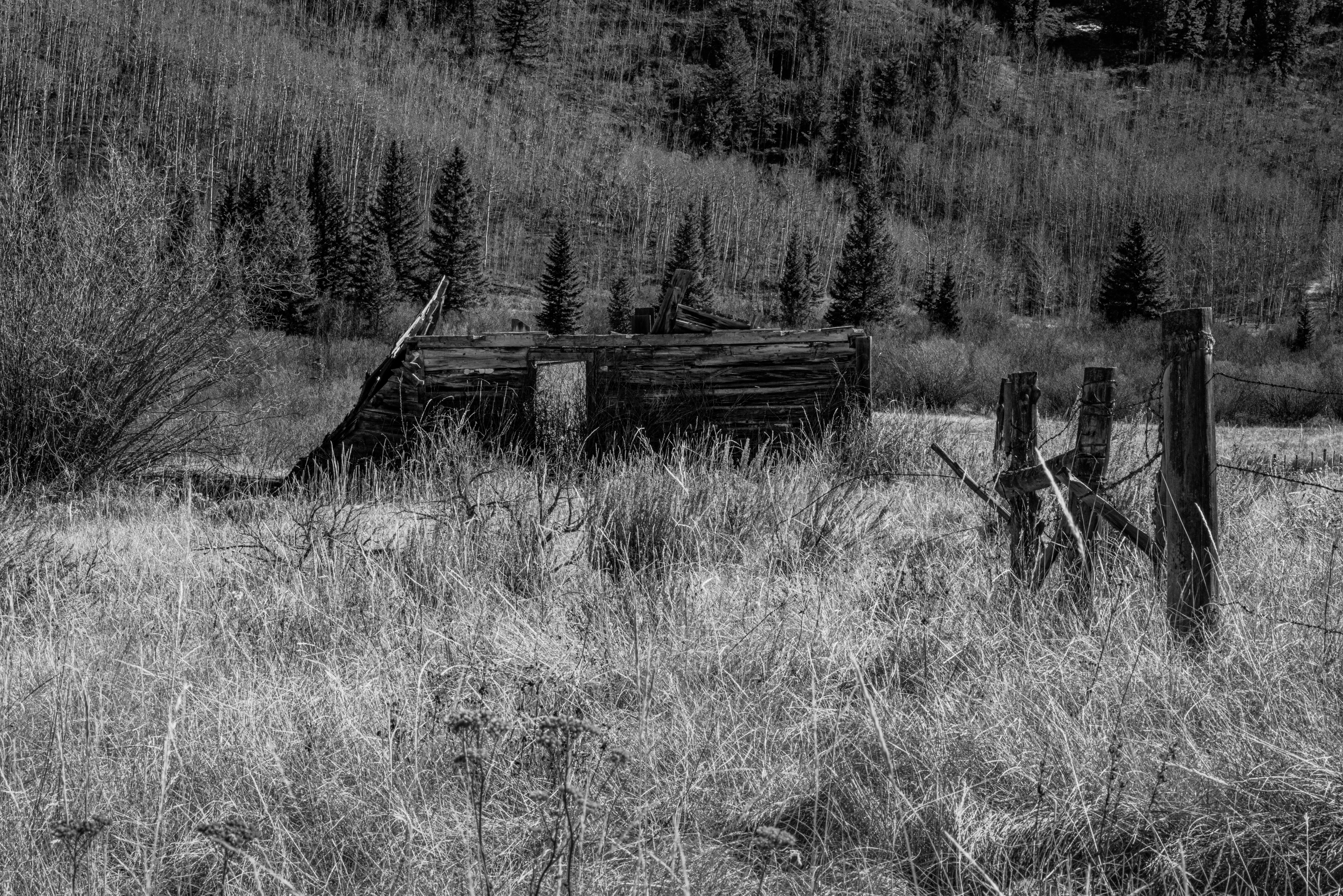 Forgotten Cabin by Paul Kestel
