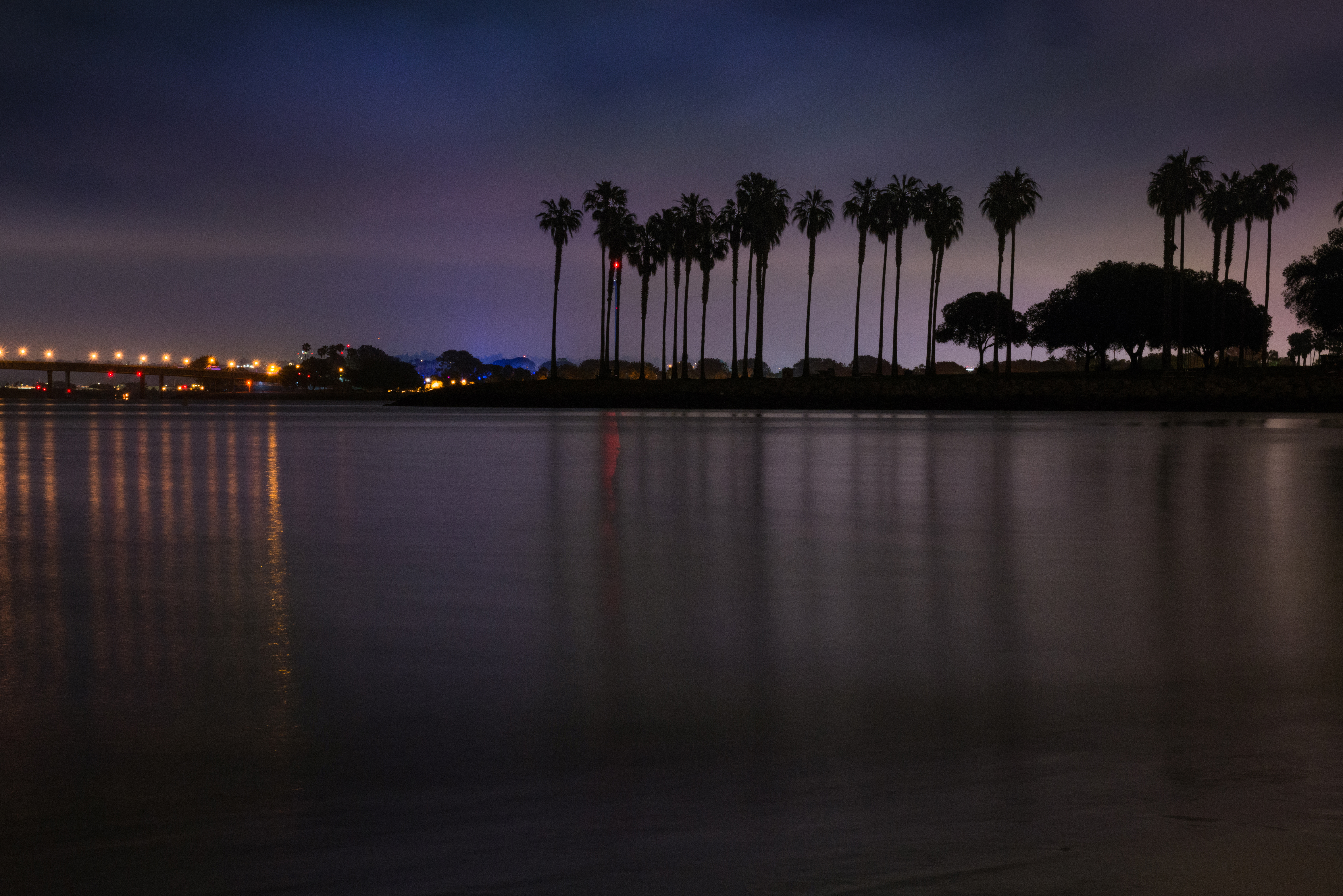 Palm Tree Silhouettes by Paul Kestel