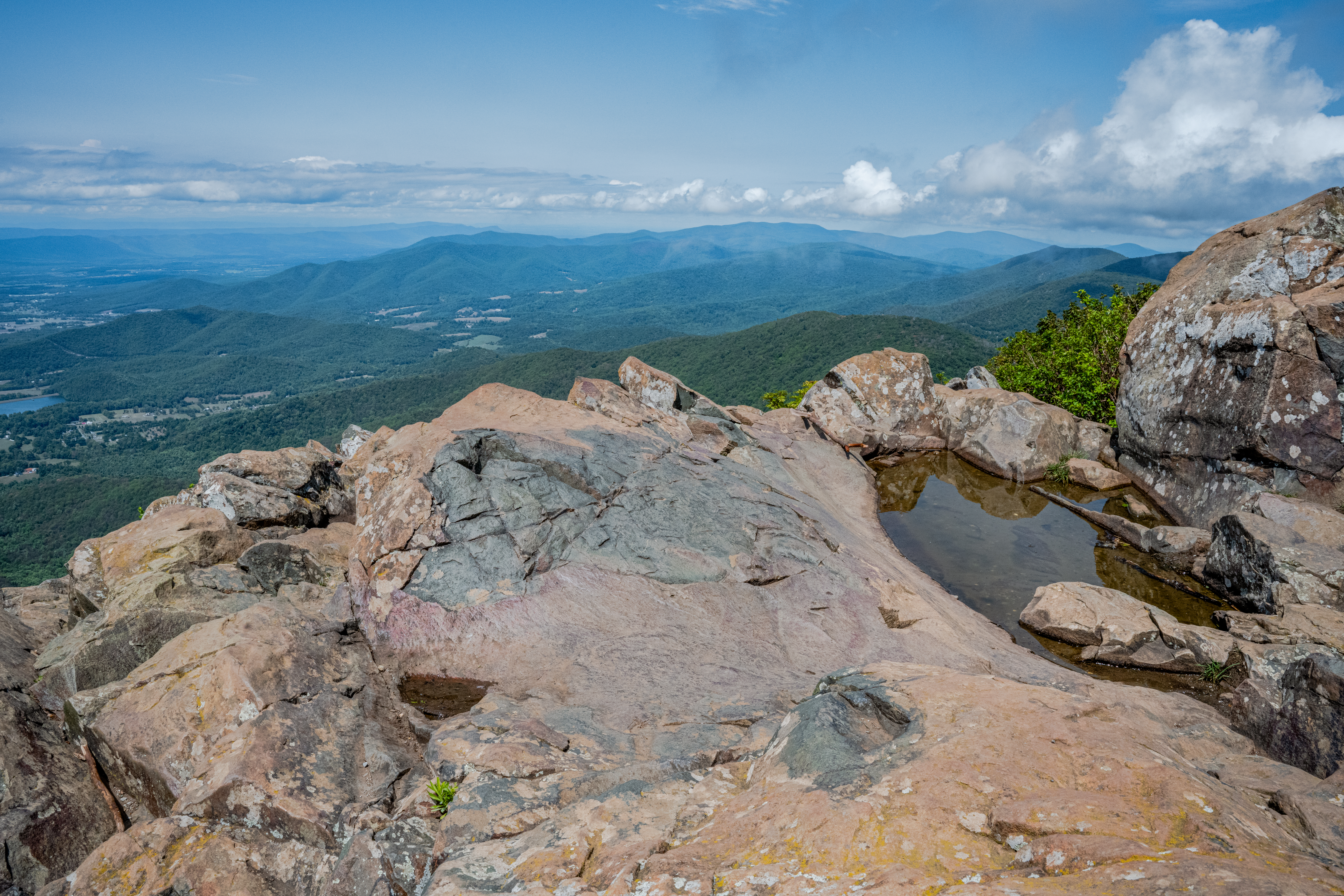 Stony Man Mountain Puddle by Paul Kestel