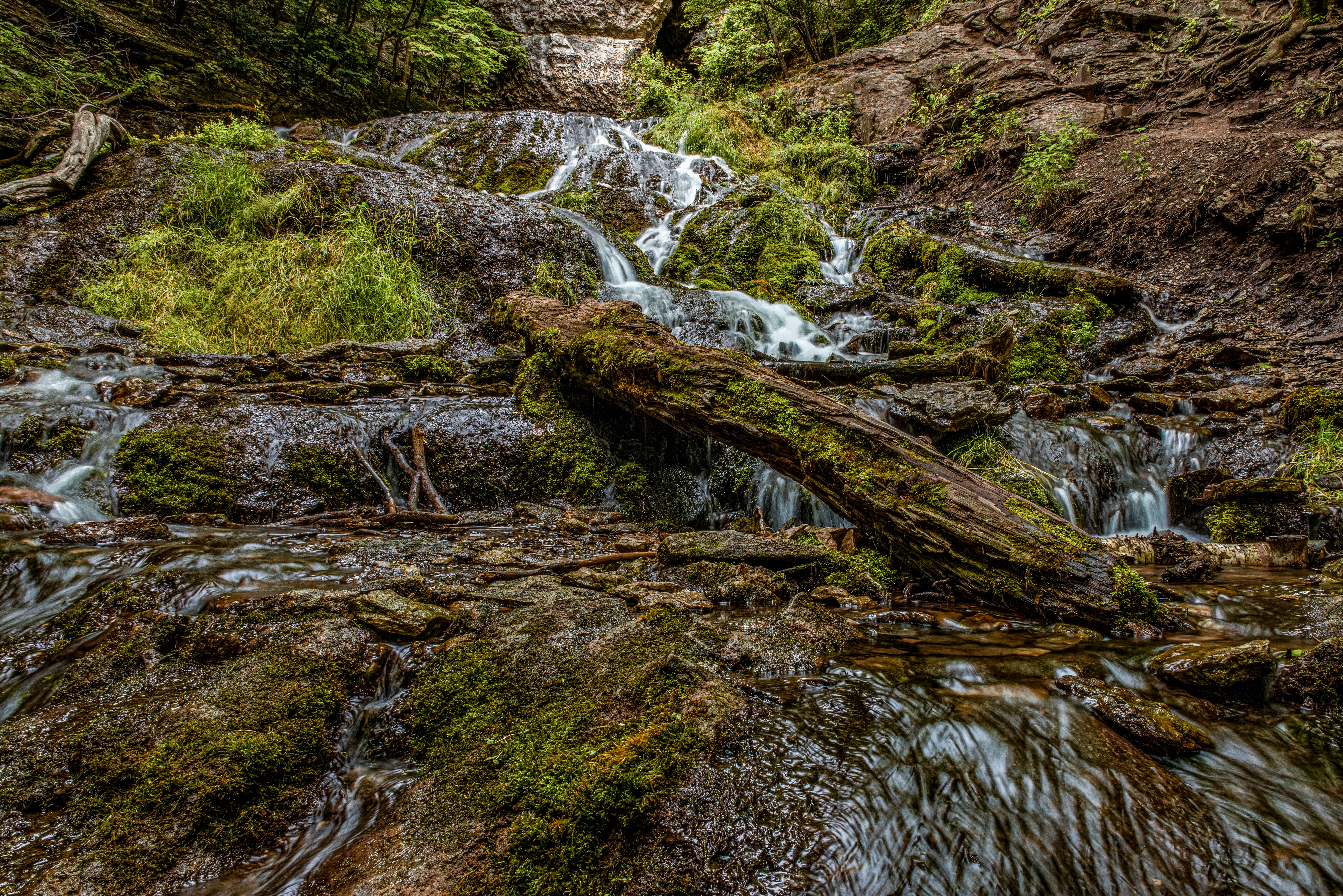 Dunning's Spring Park by Paul Kestel