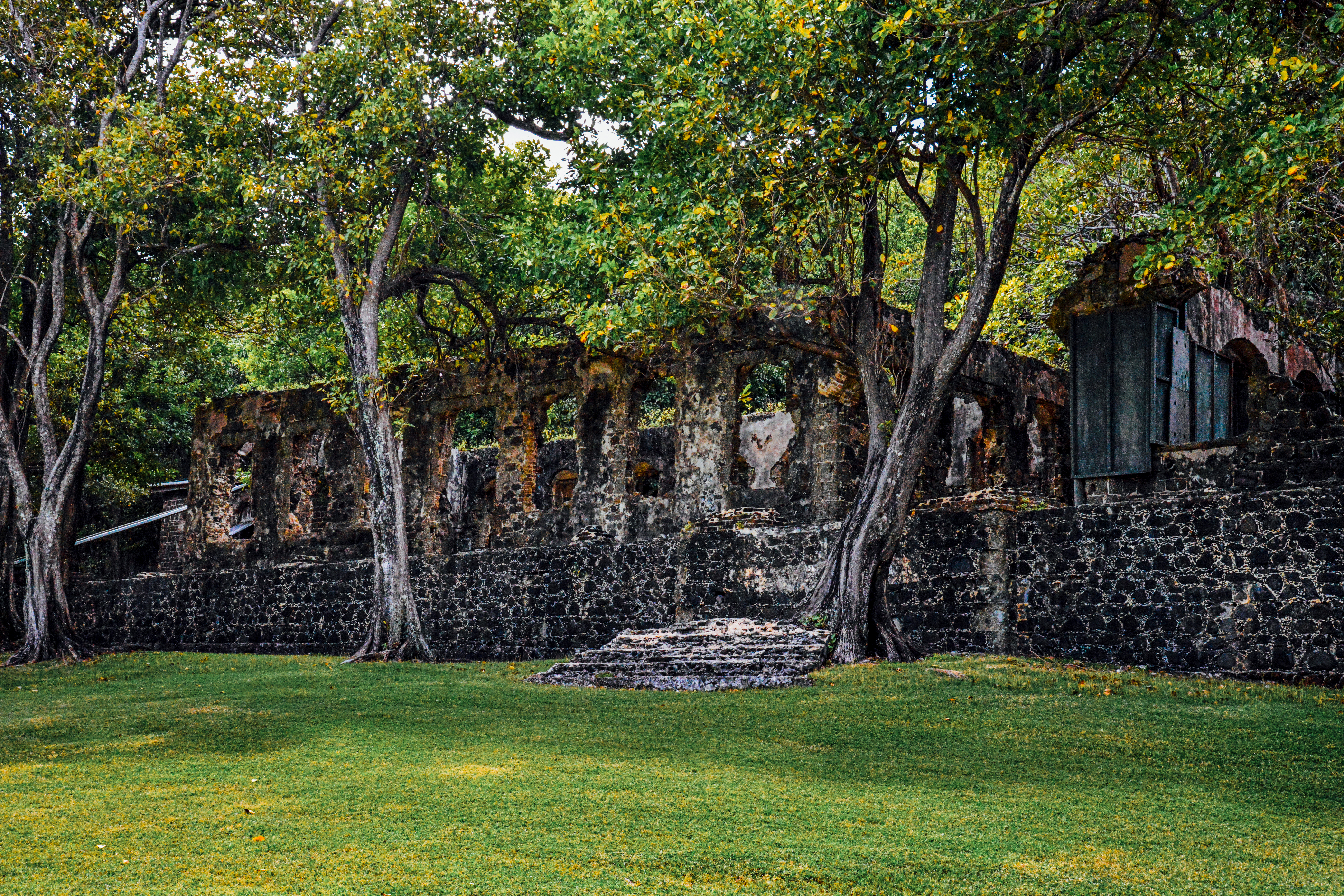 Walls of Fort Rodney by Paul Kestel