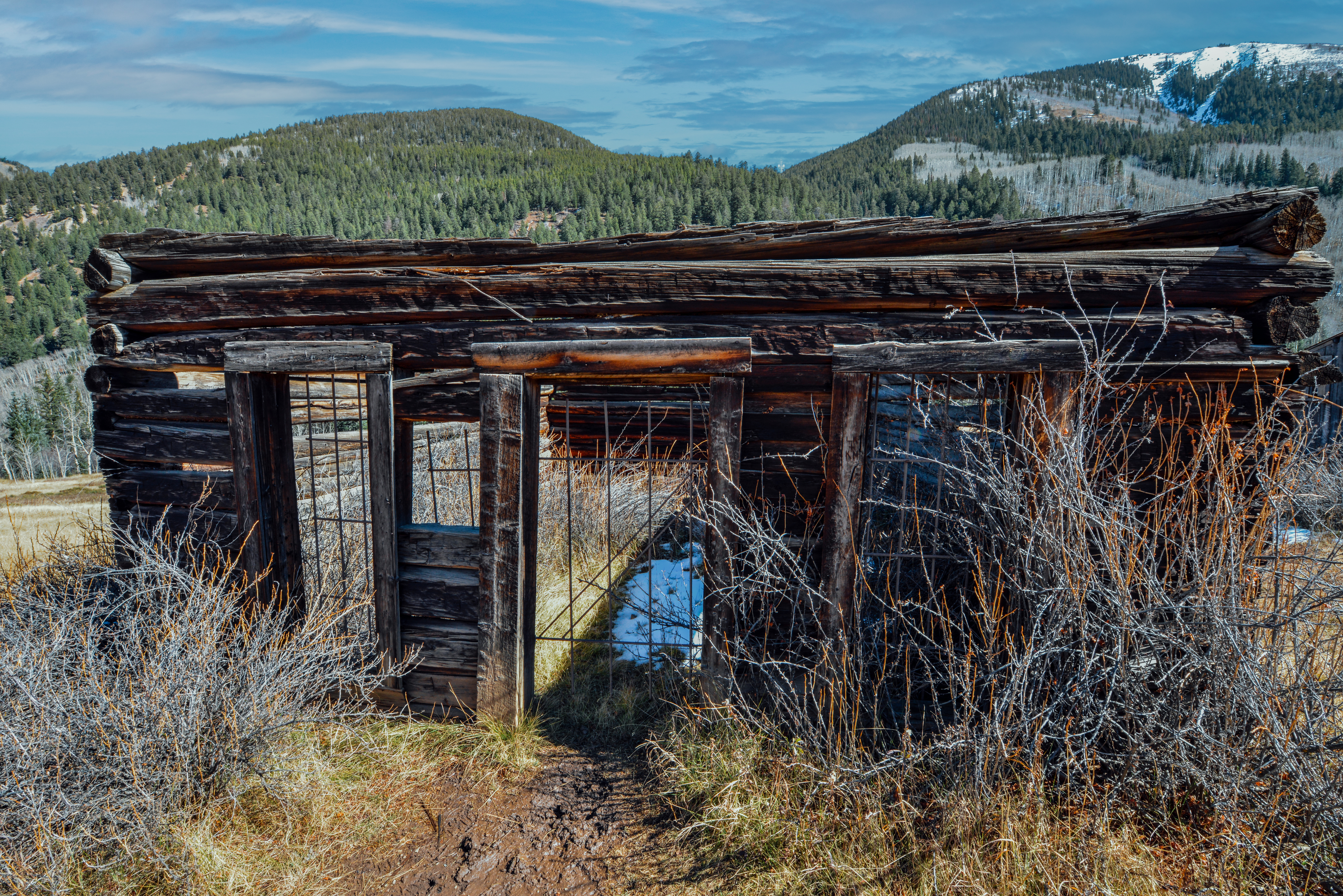 Dilapidated Cabin in Ashcroft by Paul Kestel