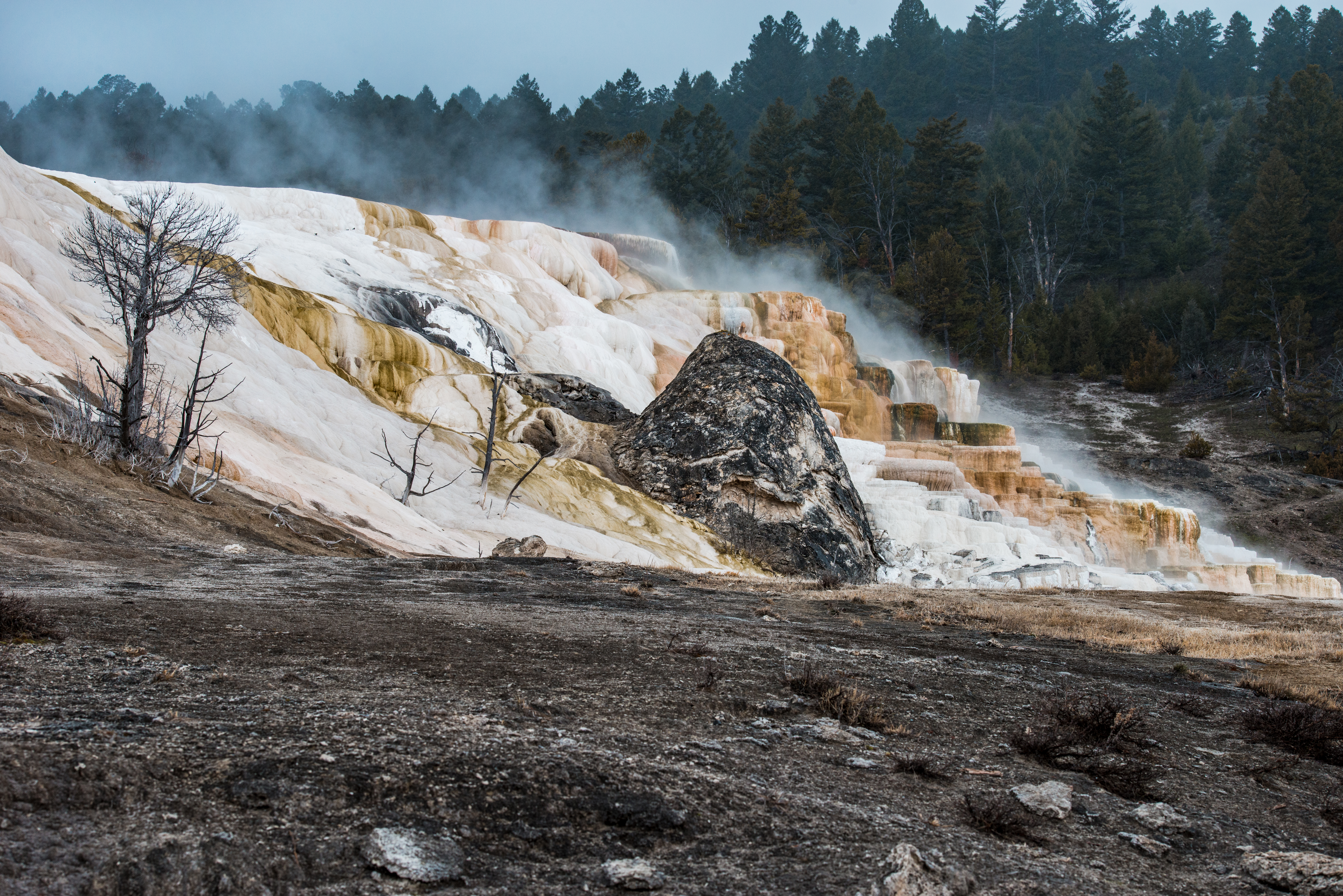 Steam at Mammoth Hot Springs Yellowstone National Park by Paul Kestel