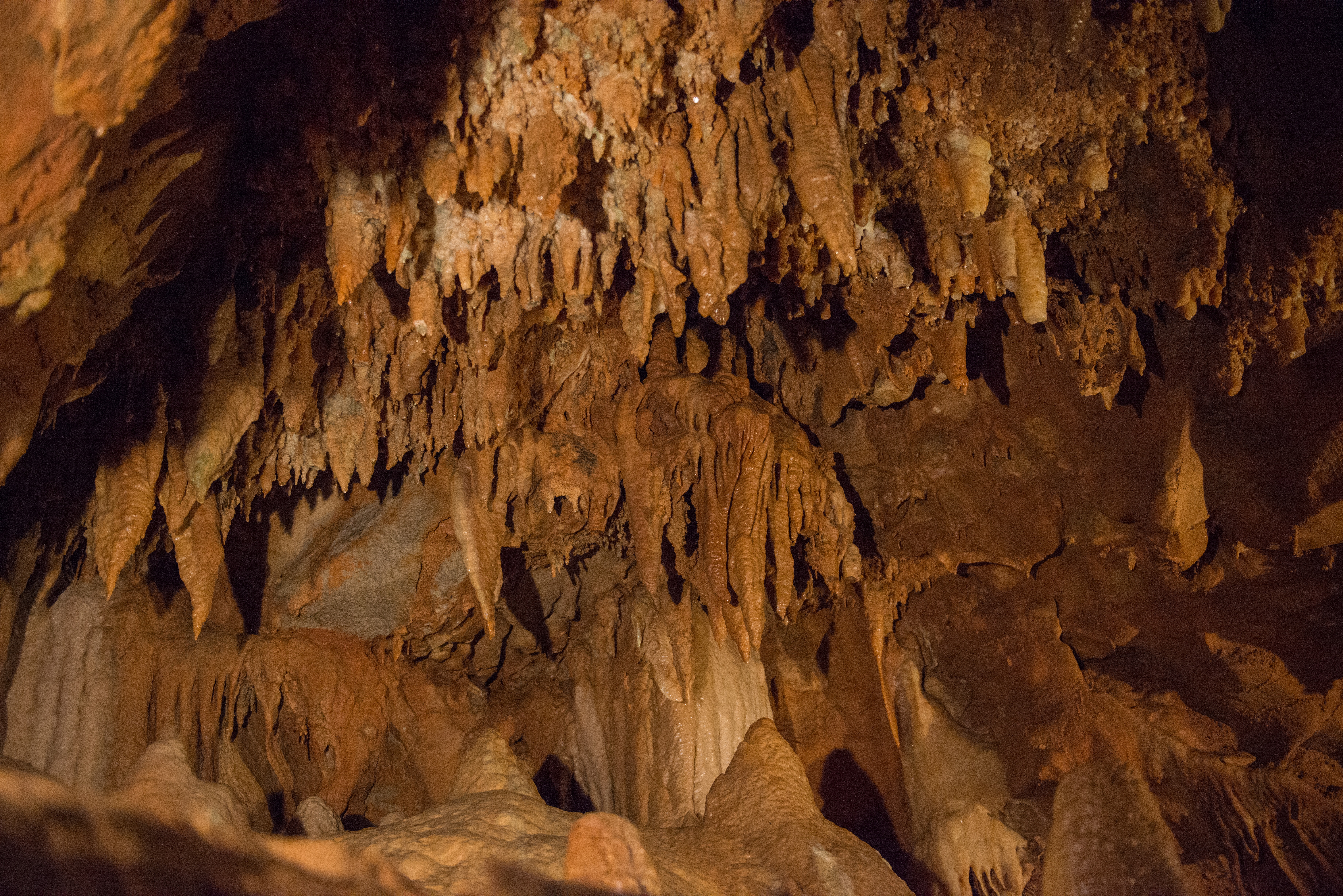 Mammoth Cave National Park Cave by Paul Kestel