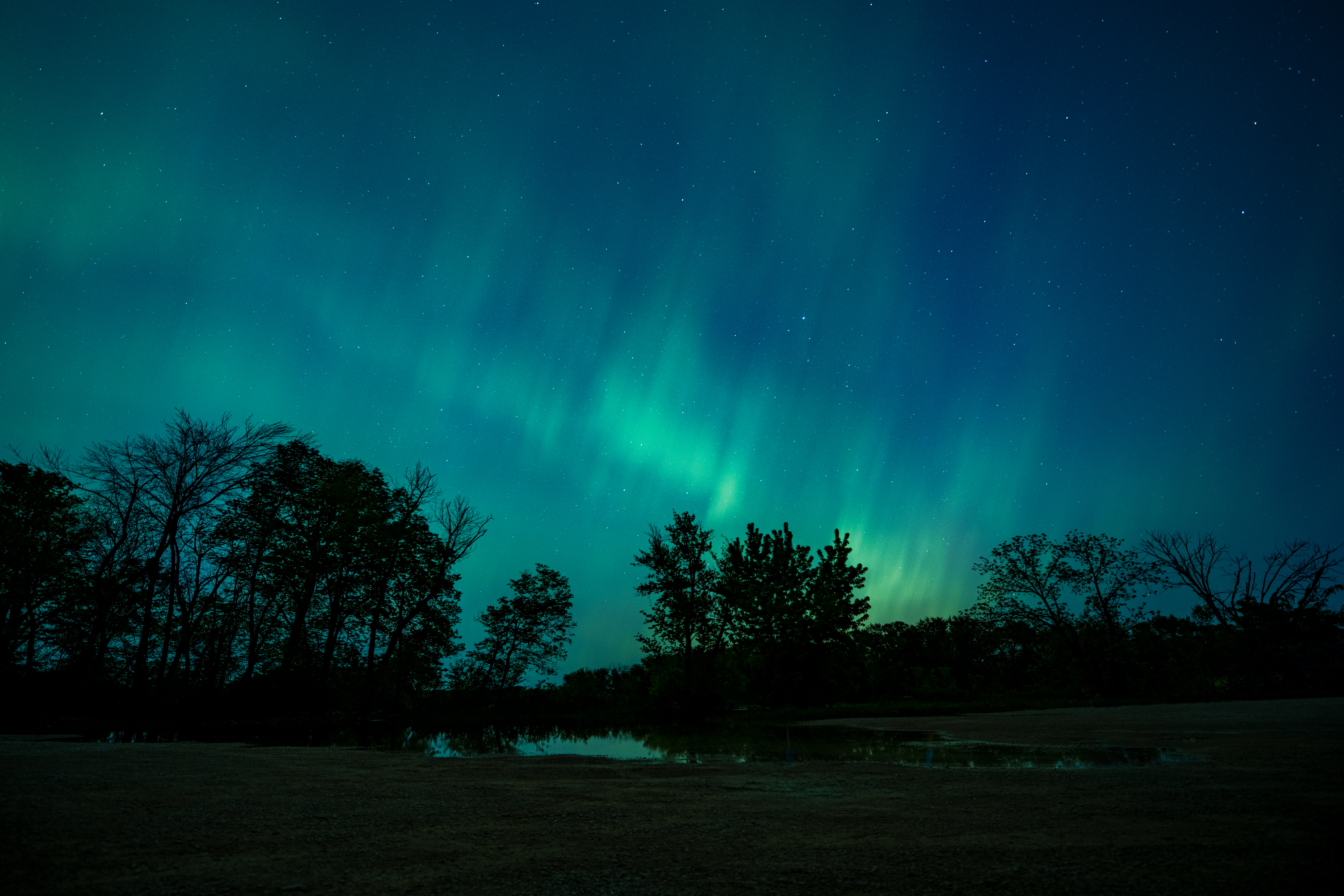 Northern Lights Over North Cedar by Paul Kestel