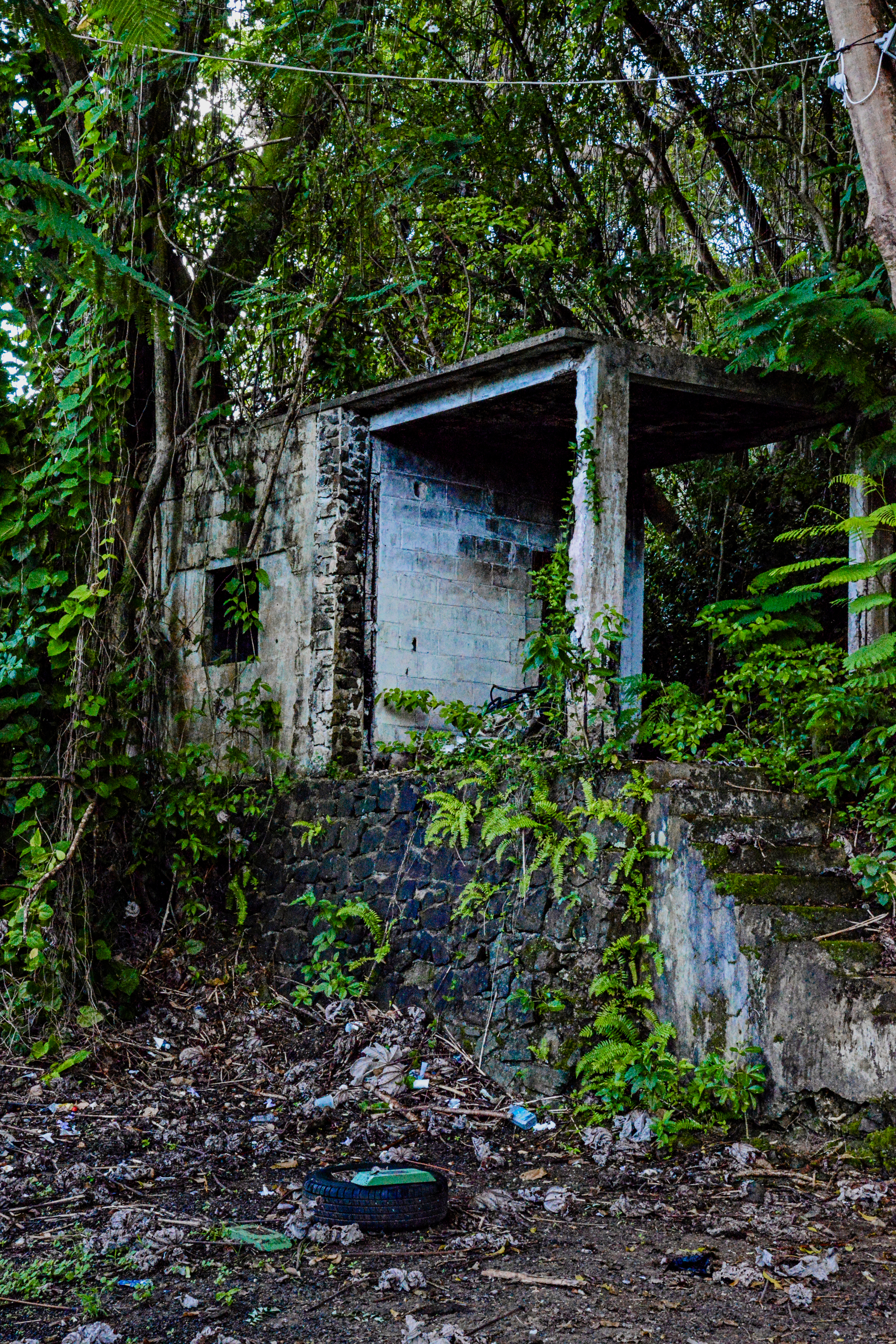Old Hut by Paul Kestel