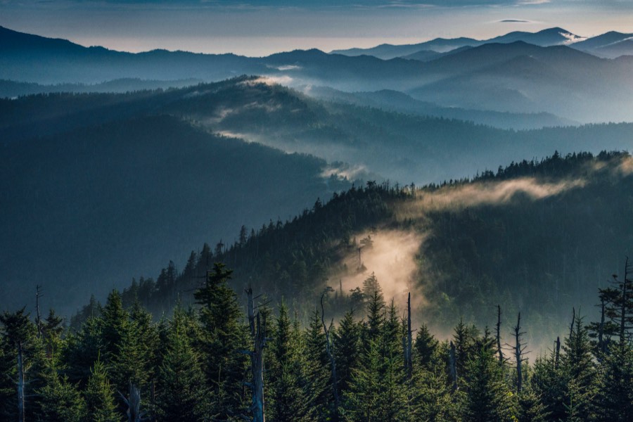 Mountain Mist by Paul Kestel