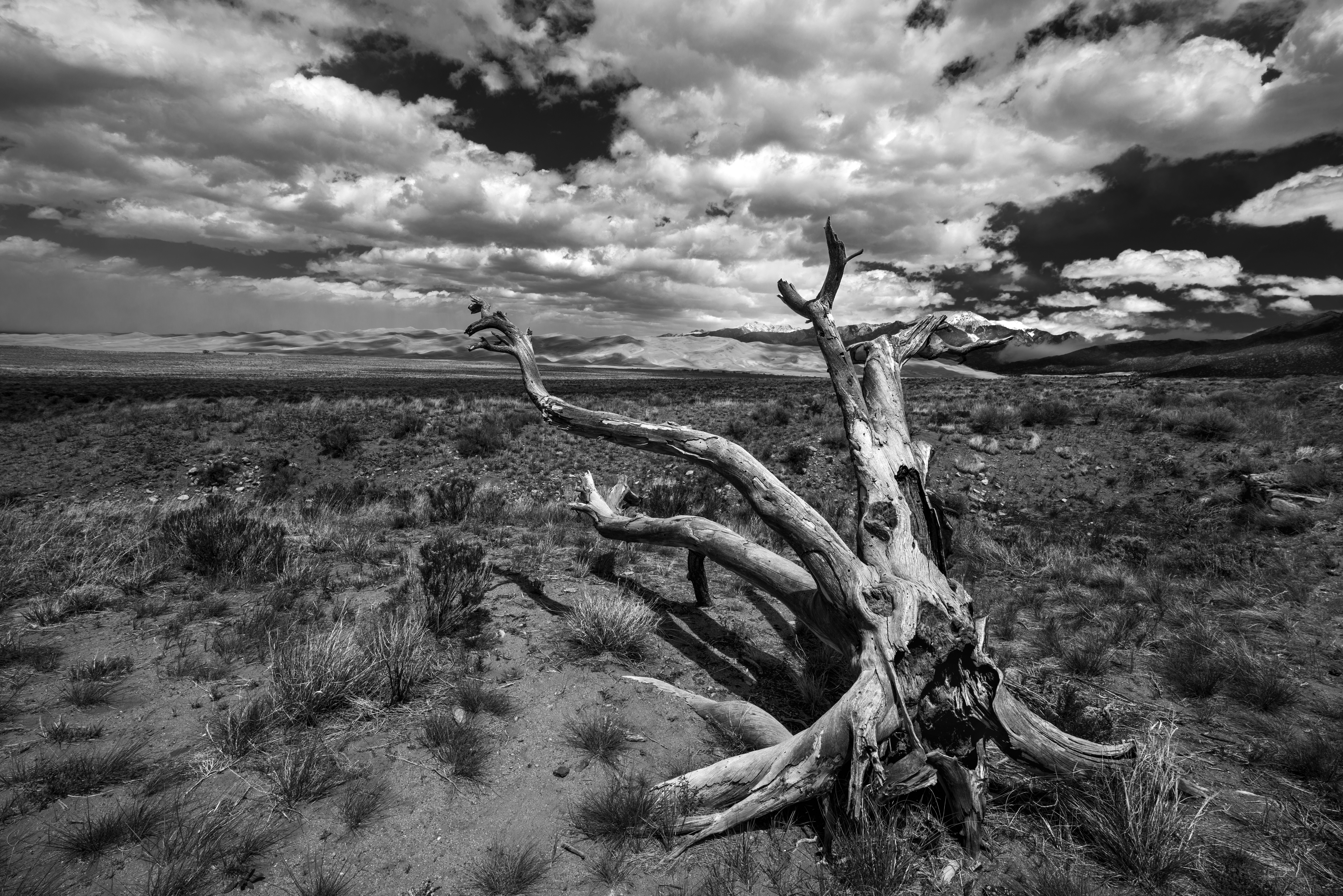 Great Sand Dunes National Park by Paul Kestel