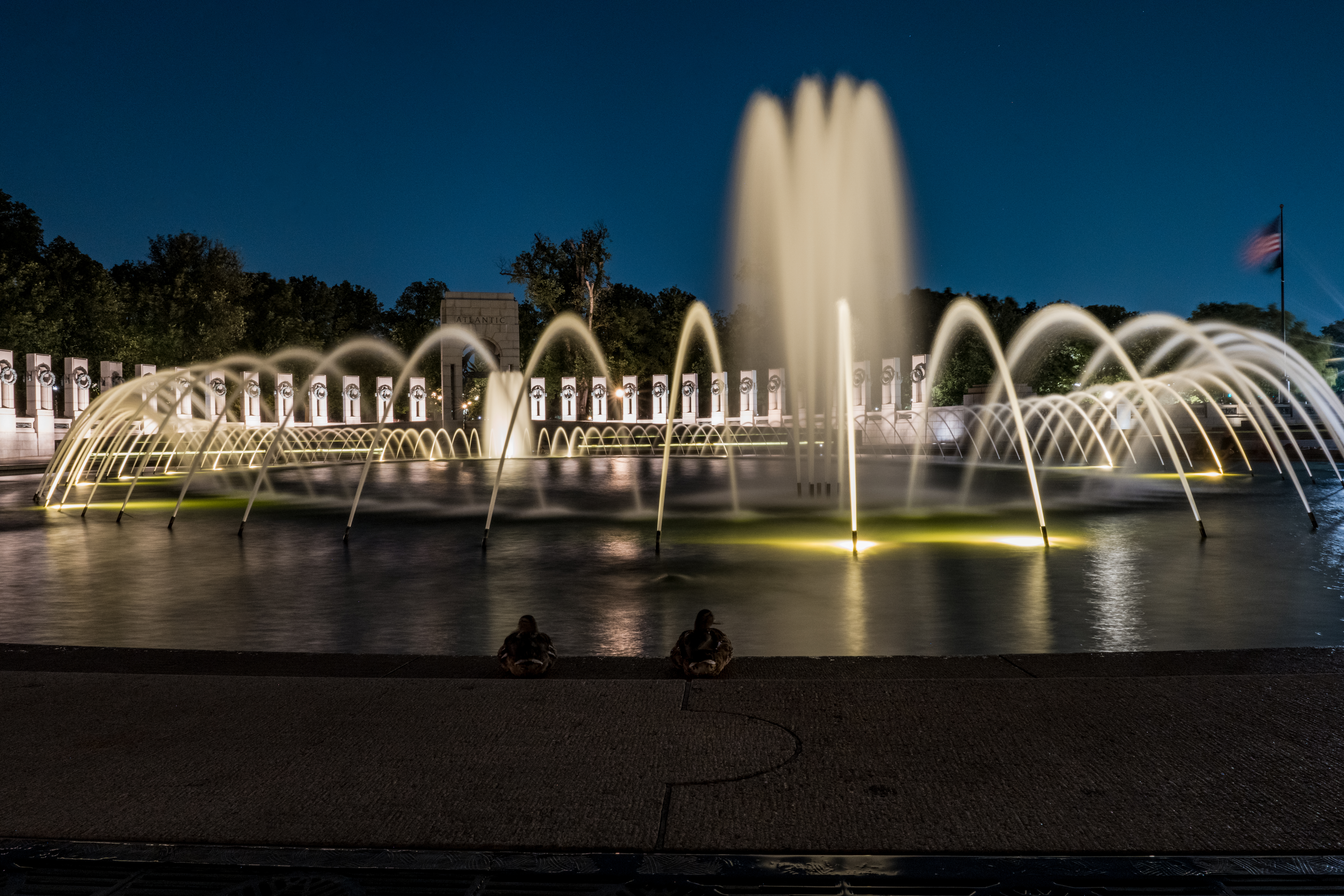 Ducks watching World War II Memorial by Paul Kestel