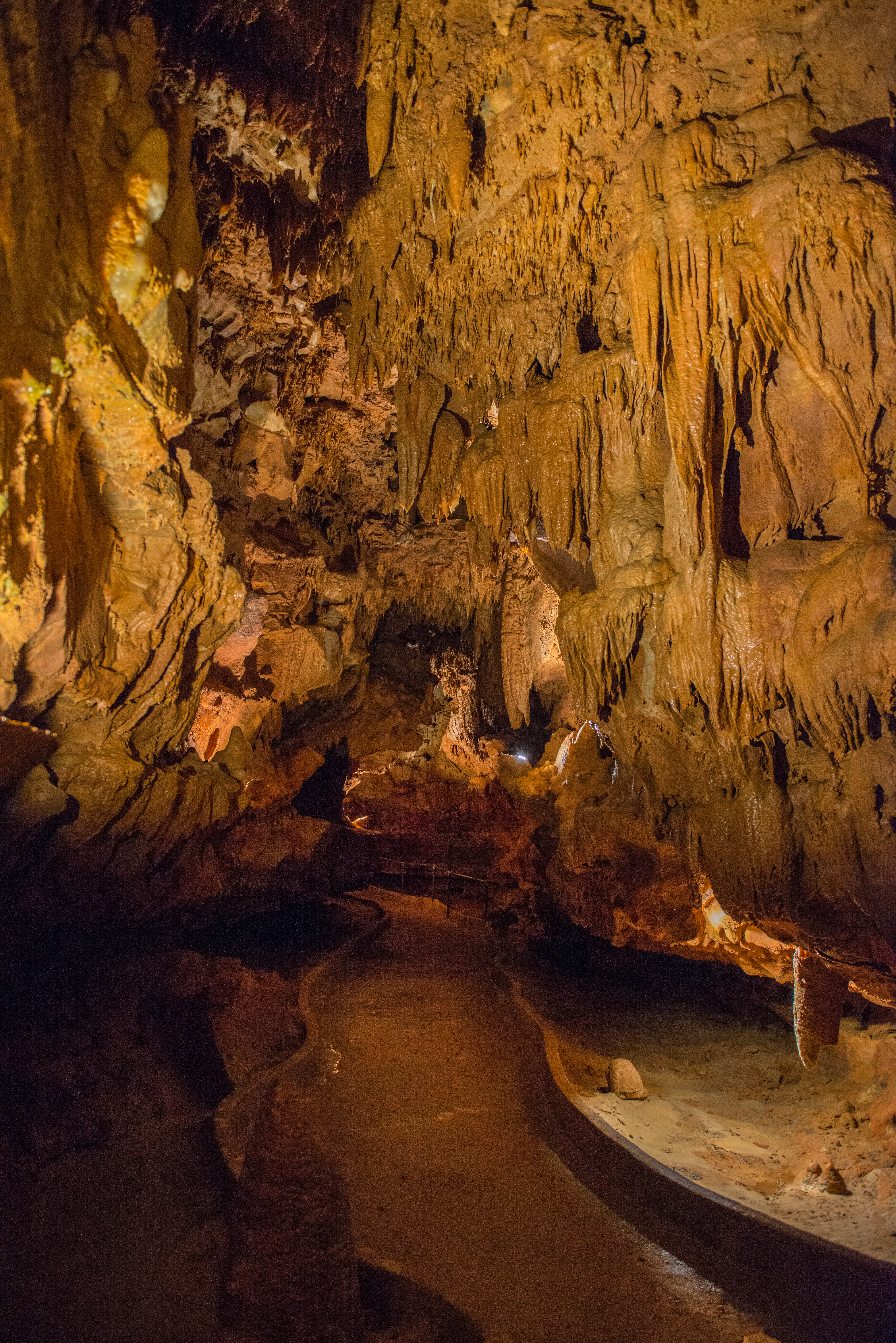 Mammoth Cave National Park by Paul Kestel