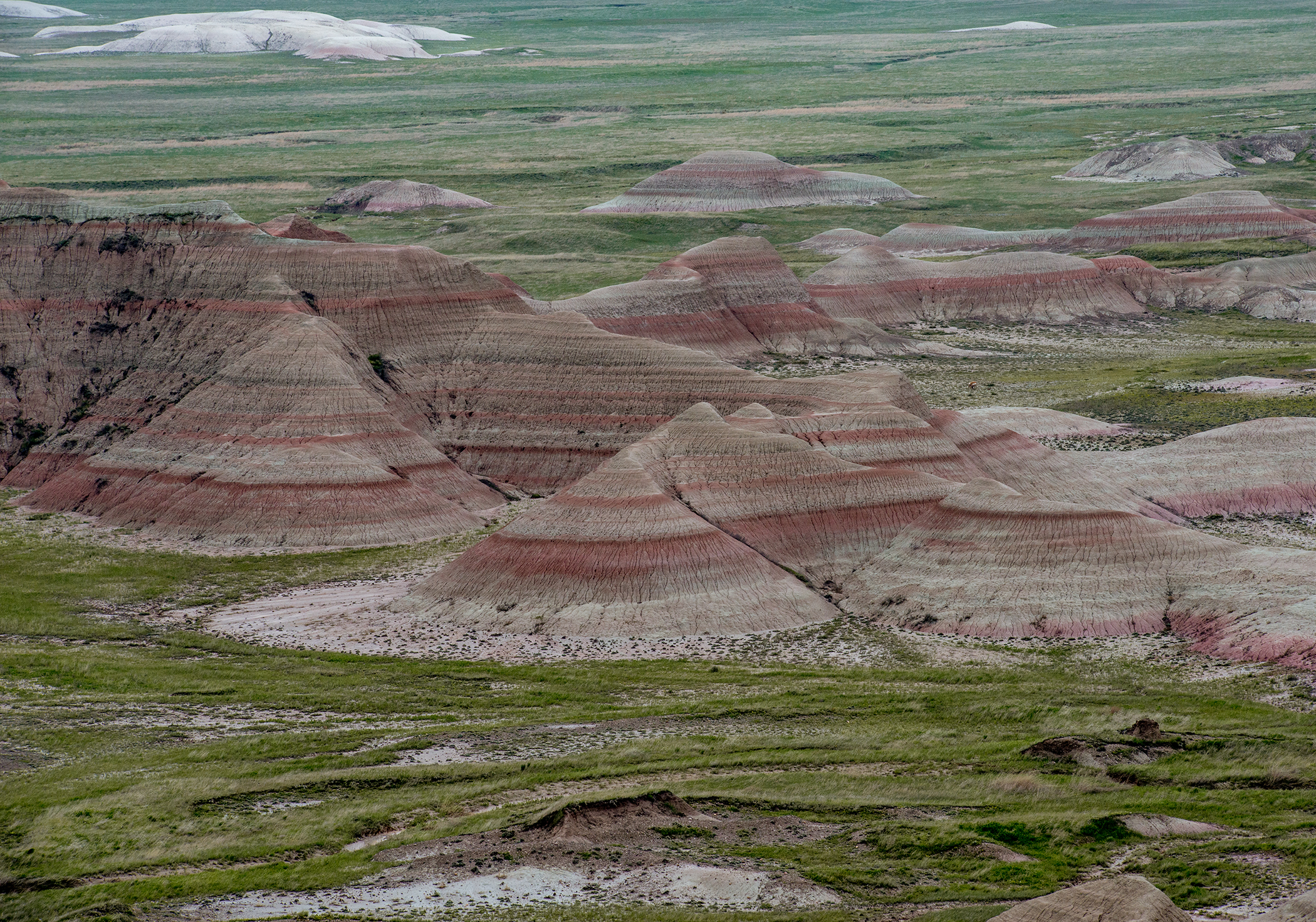 Badlands National Park Plains by Paul Kestel