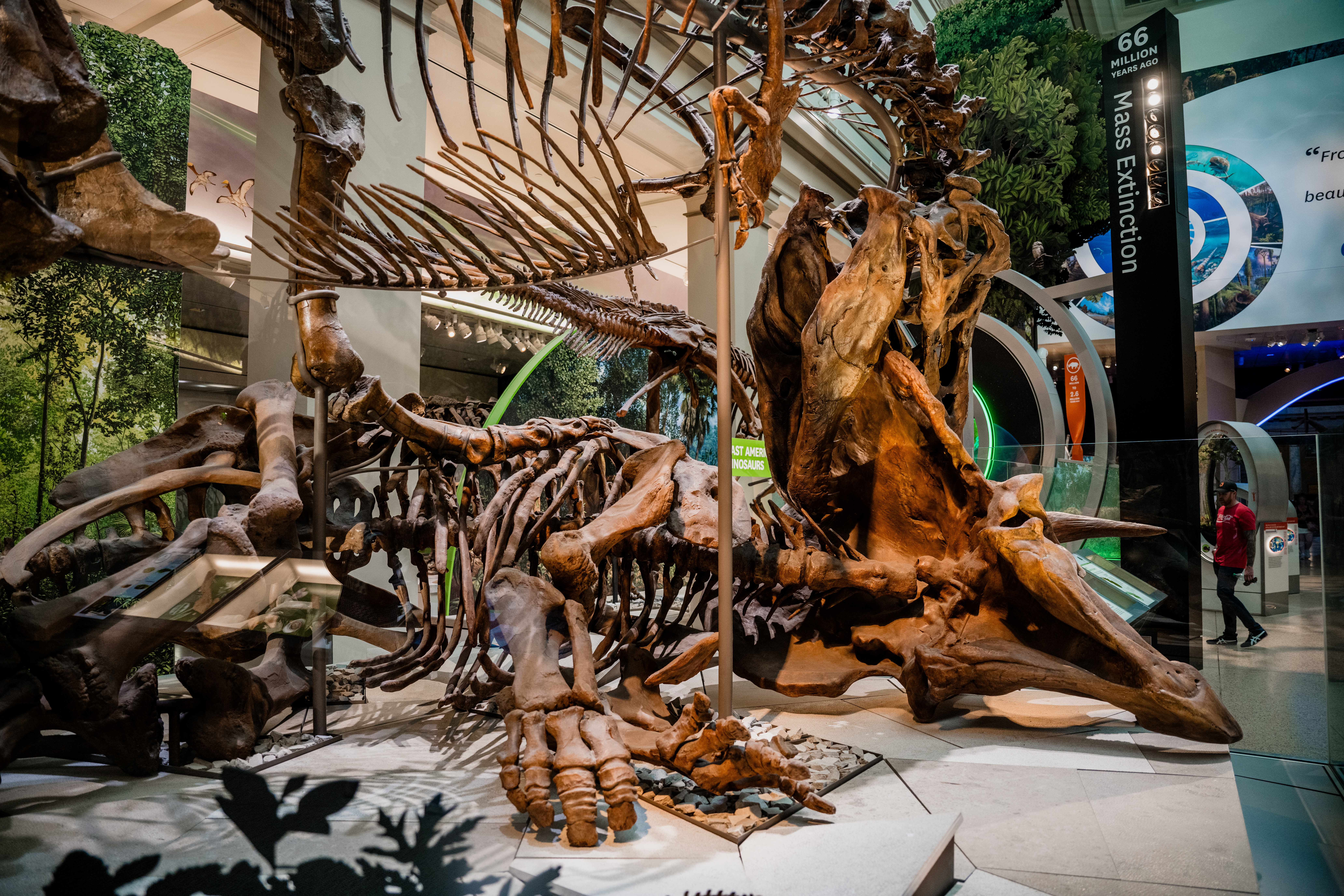 Smithsonian Dinosaur by Paul Kestel