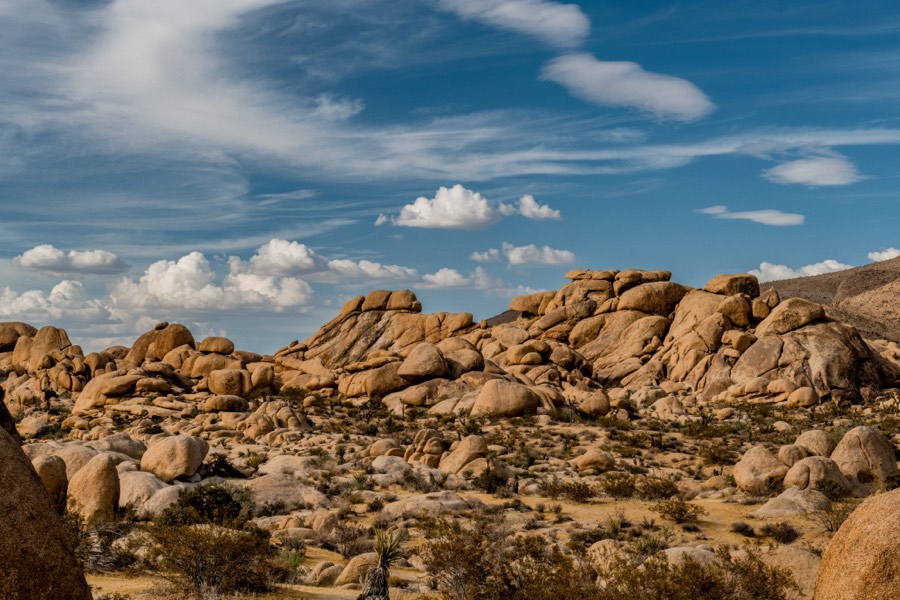 Joshua Tree National Park Landscape by Paul Kestel