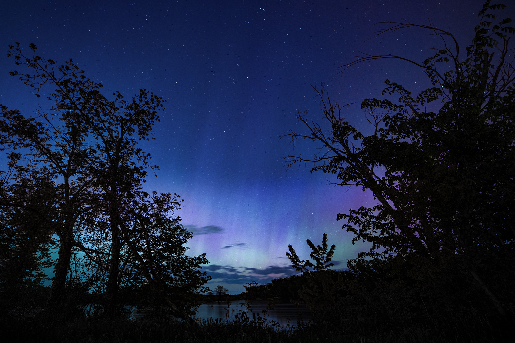 Purple Glow by Paul Kestel