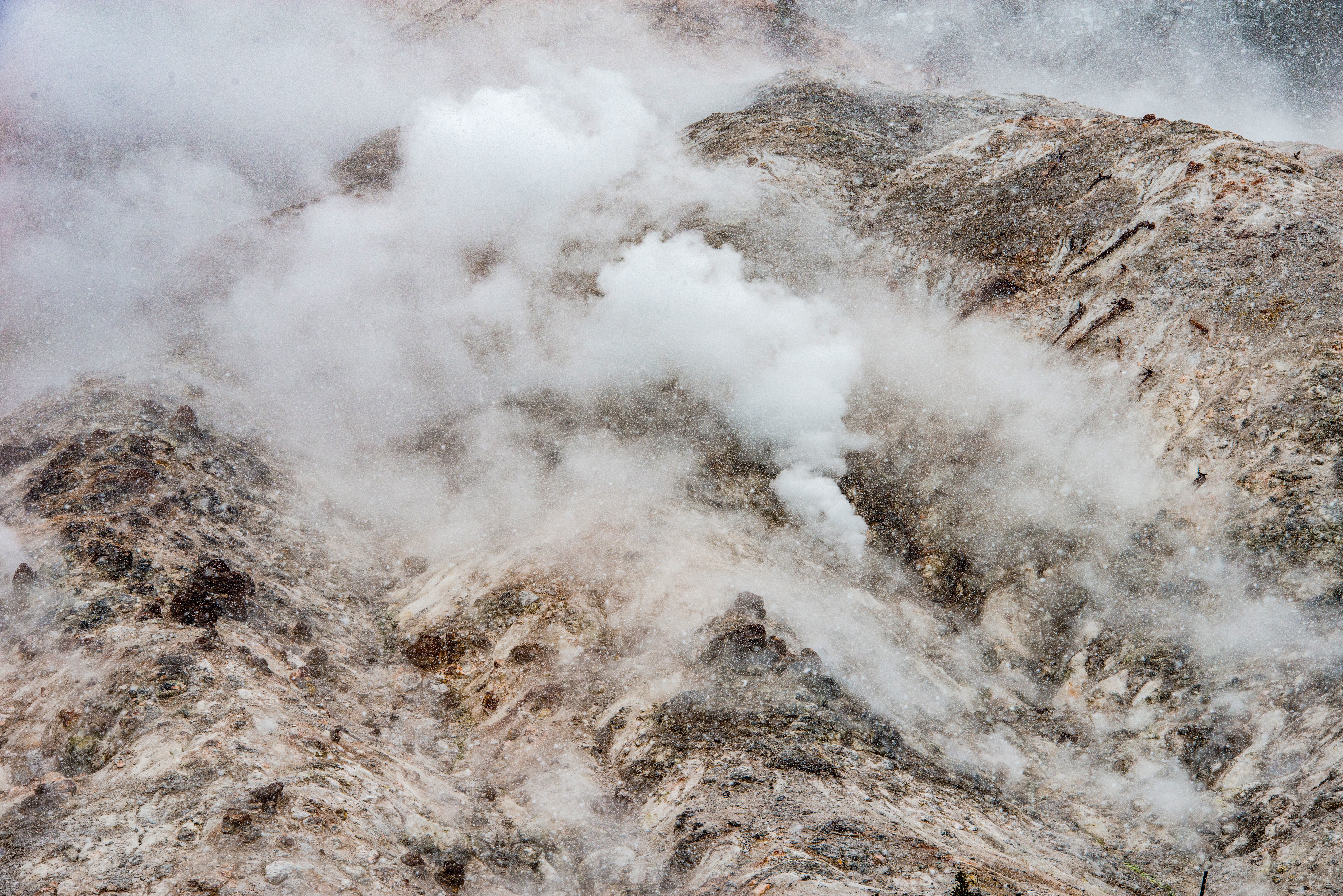 Steam & Snow Yellowstone National Park by Paul Kestel