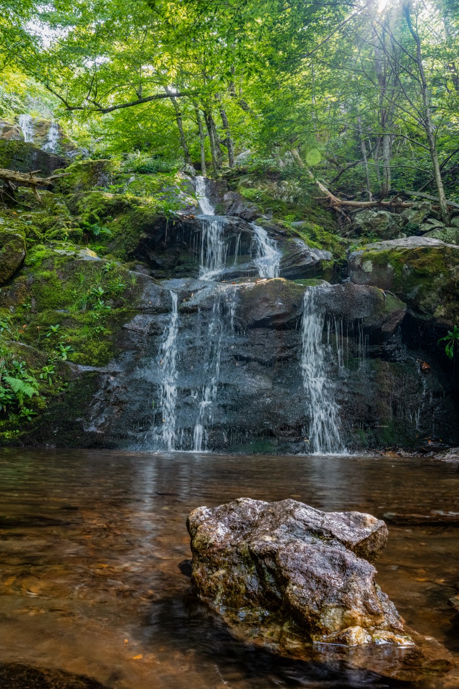 Dark Hallow Falls Sun Flare by Paul Kestel