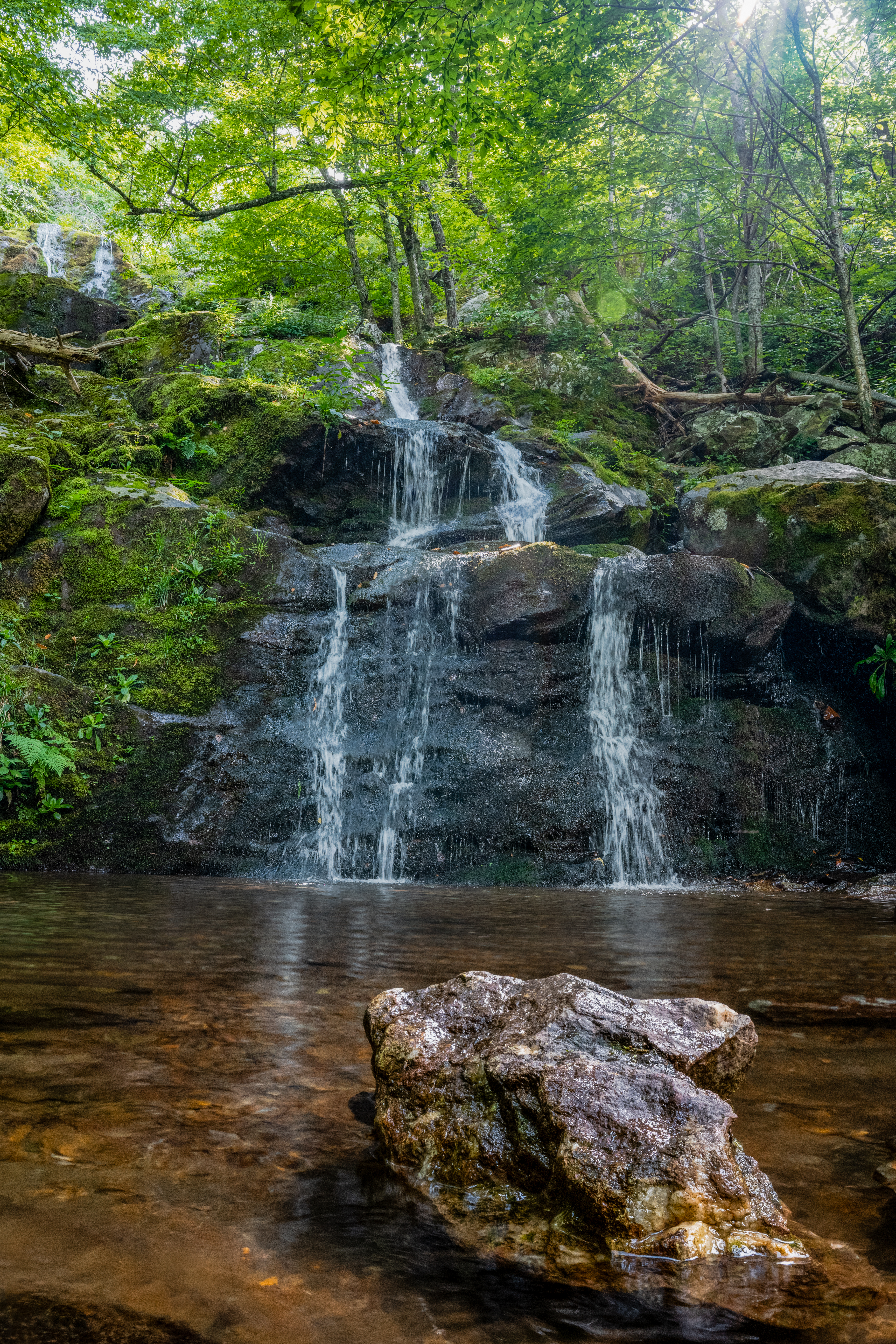 Dark Hallow Falls Sun Flare by Paul Kestel