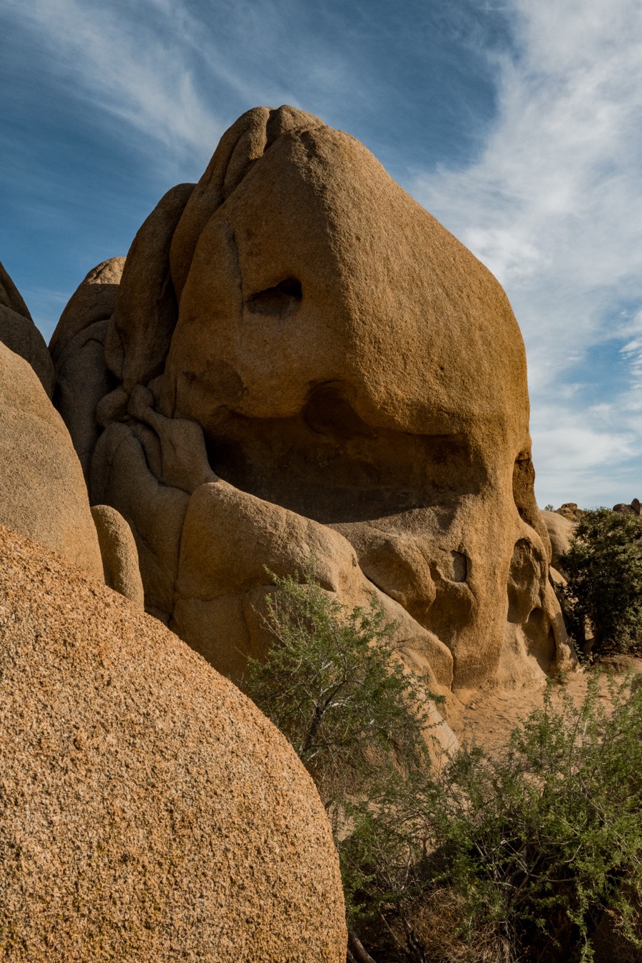 Skull Rock Joshua Tree National Park by Paul Kestel
