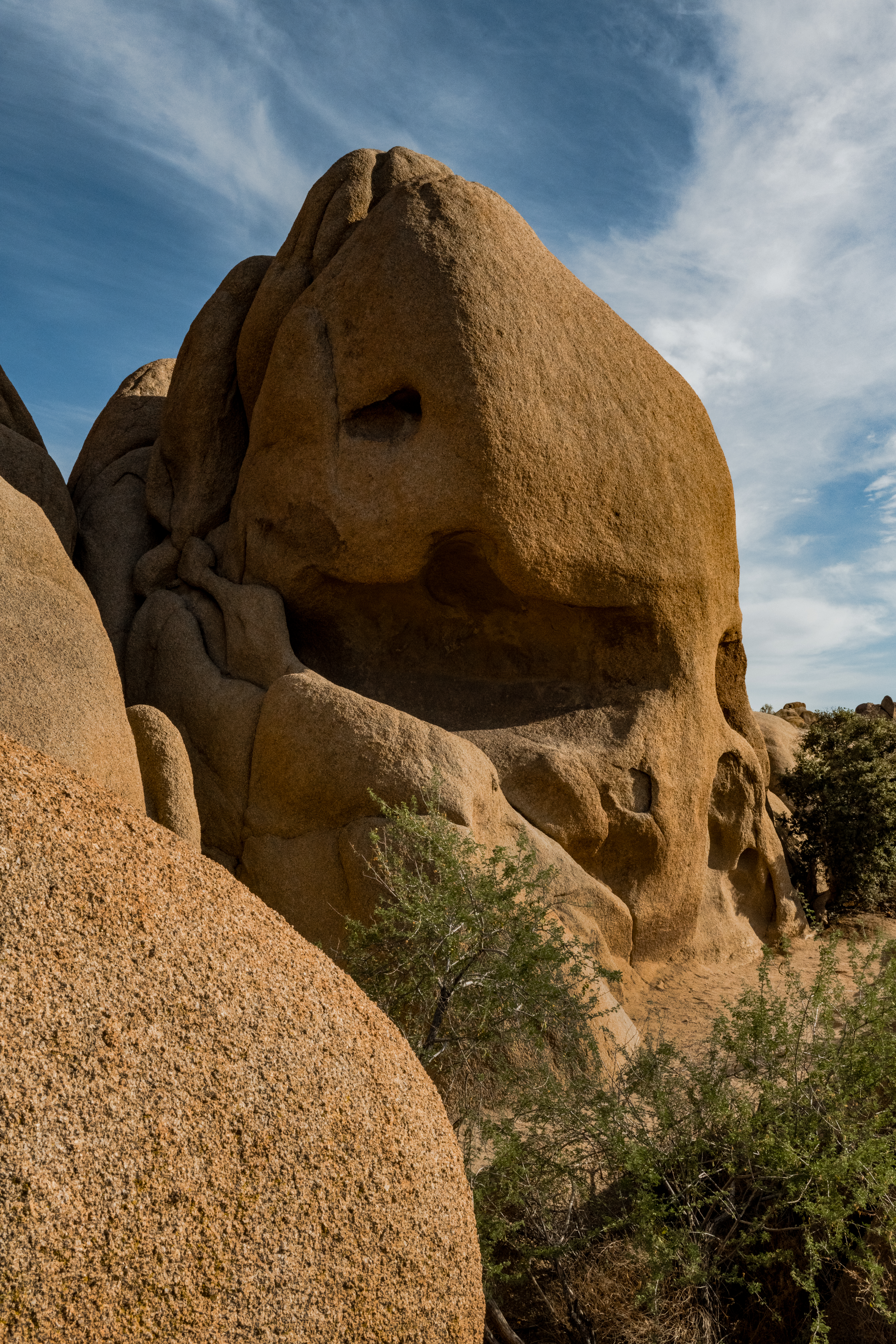 Skull Rock Joshua Tree National Park by Paul Kestel