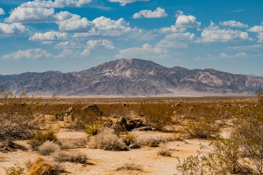 Eagle Mountain Joshua Tree National Park