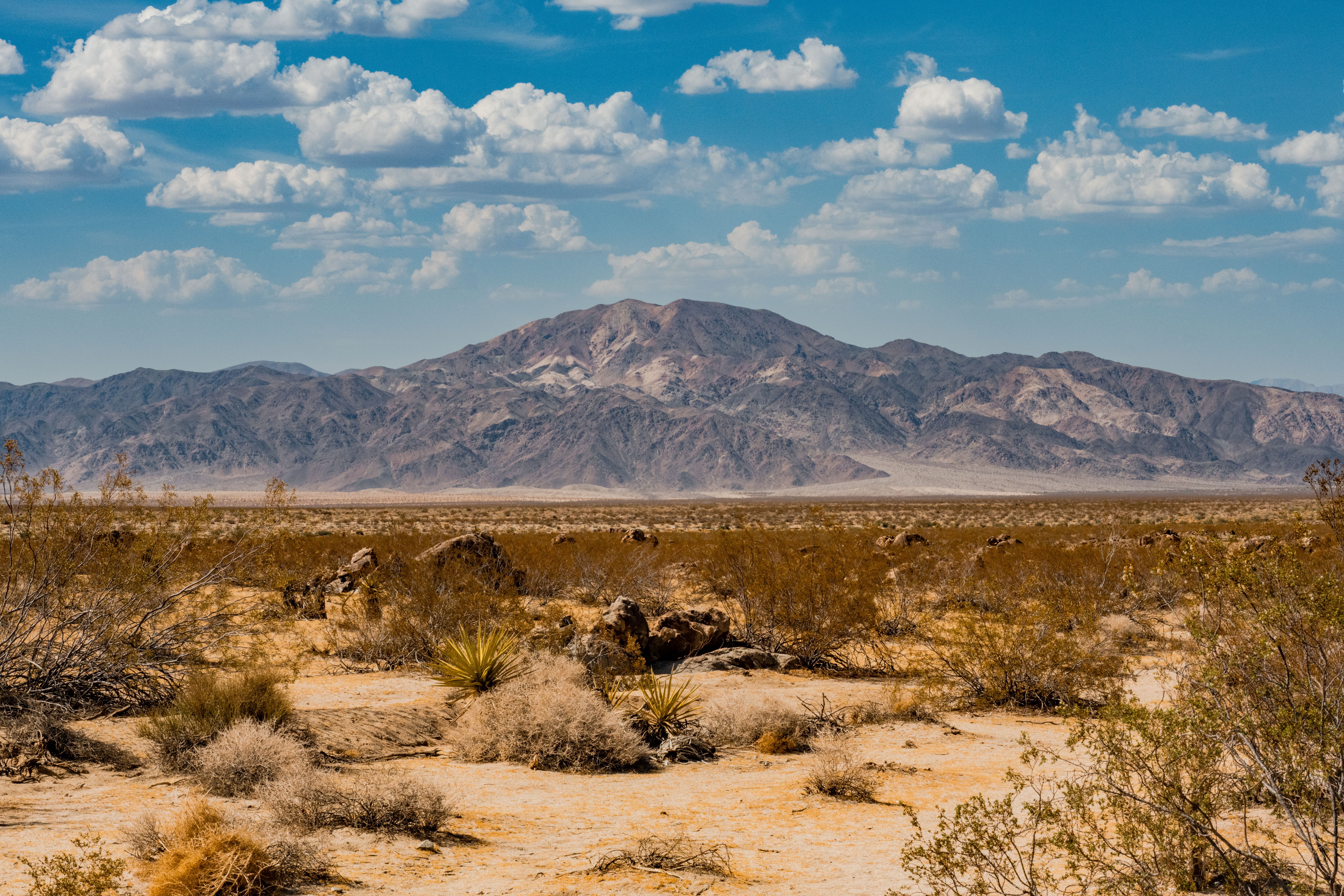 Eagle Mountain Joshua Tree National Park by Paul Kestel