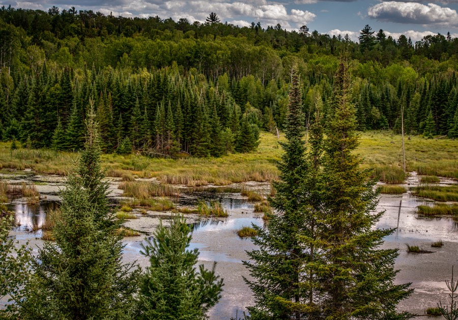 Voyageurs National Park by Paul Kestel