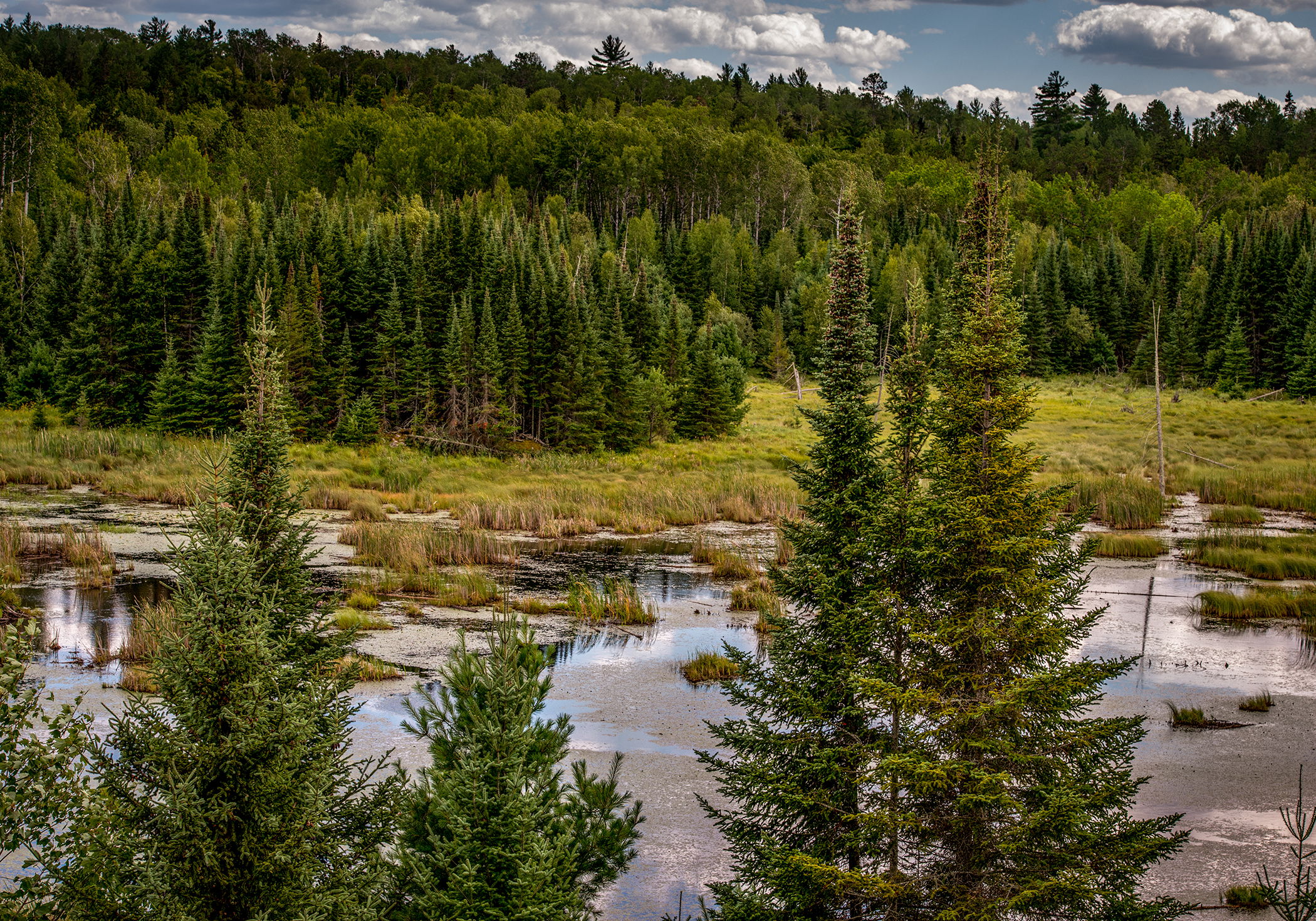 Voyageurs National Park by Paul Kestel
