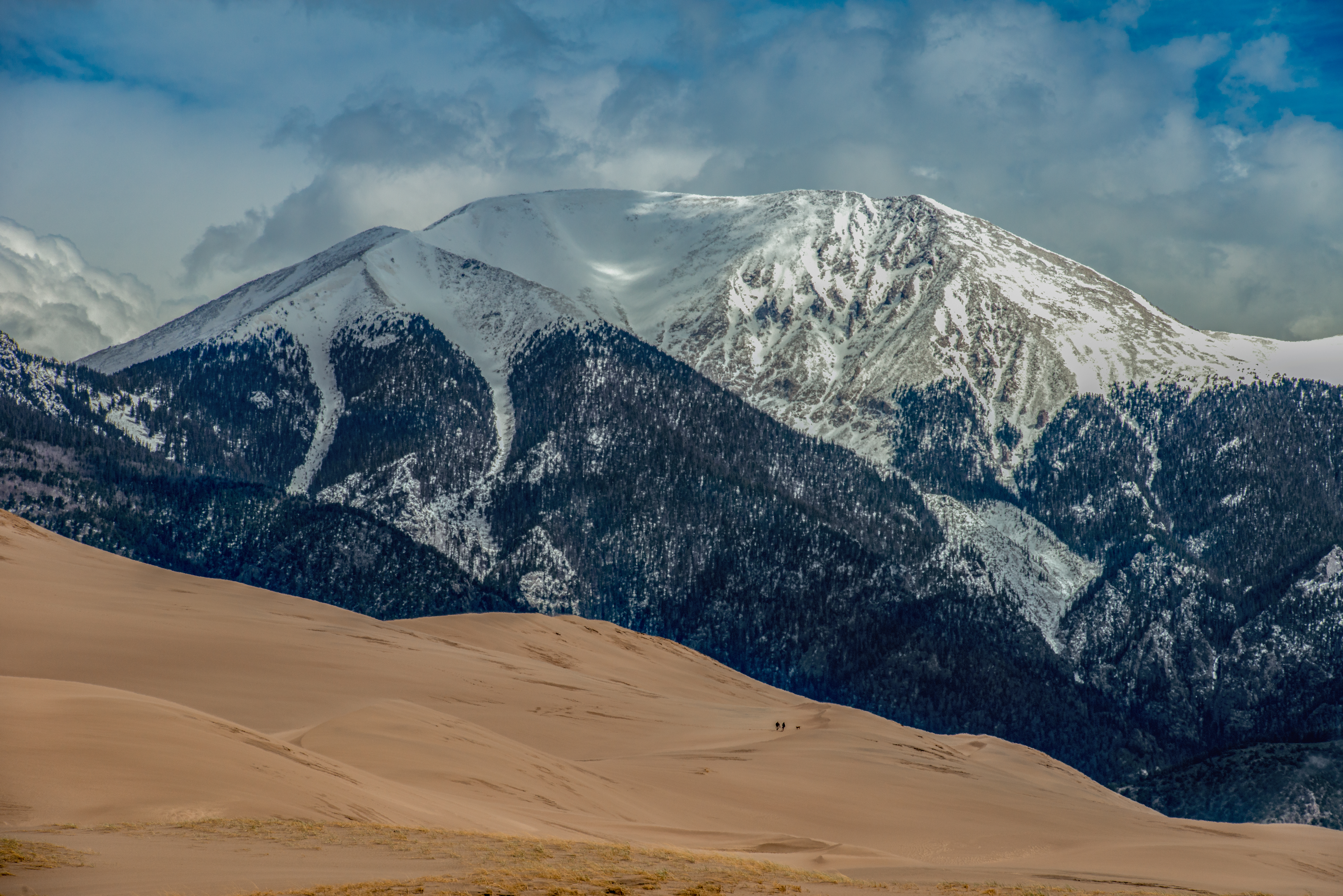 Mount Herard Hikers by Paul Kestel