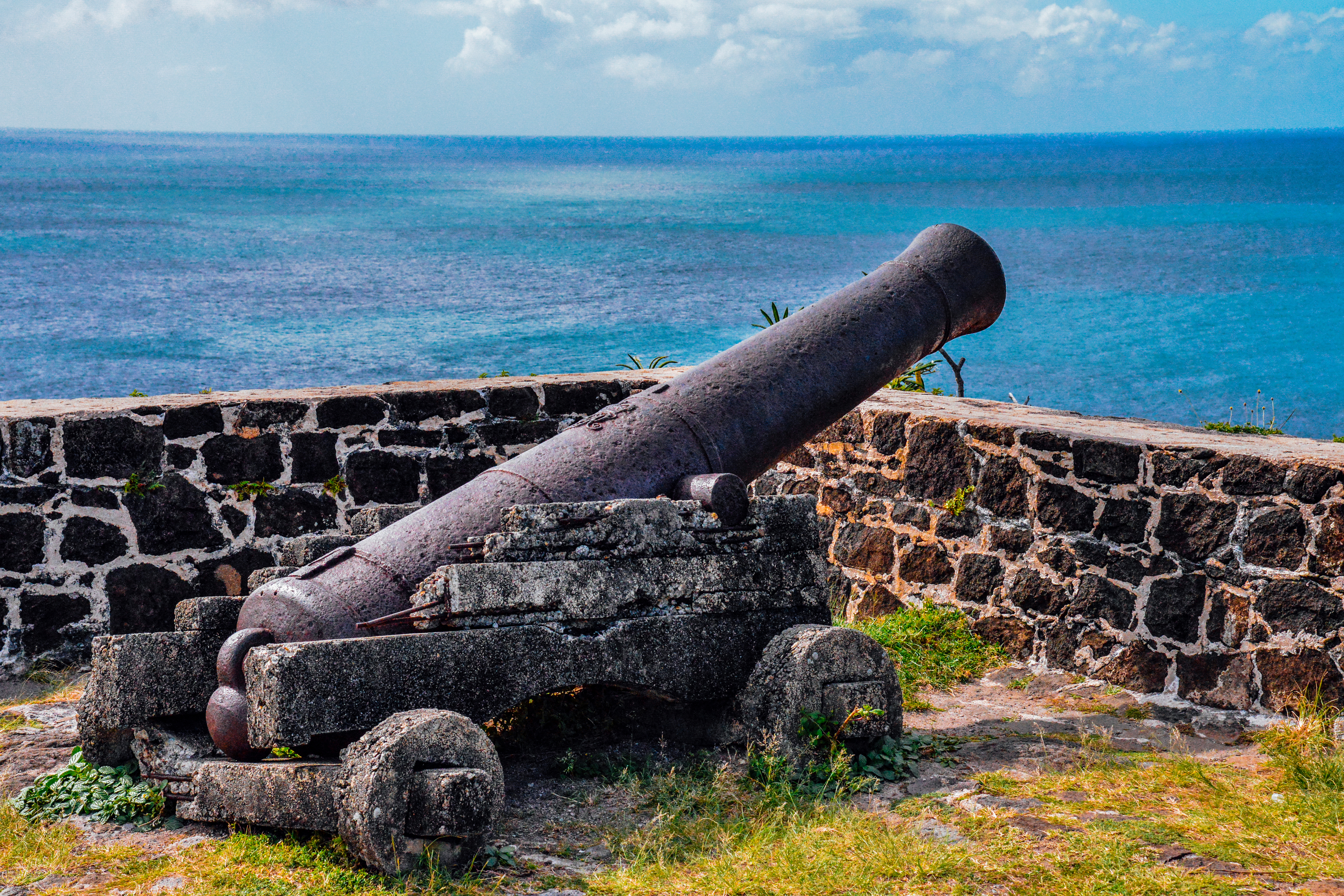 Standing Guard by Paul Kestel