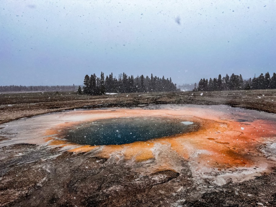 Opal Pool Yellowstone National Park by Paul Kestel