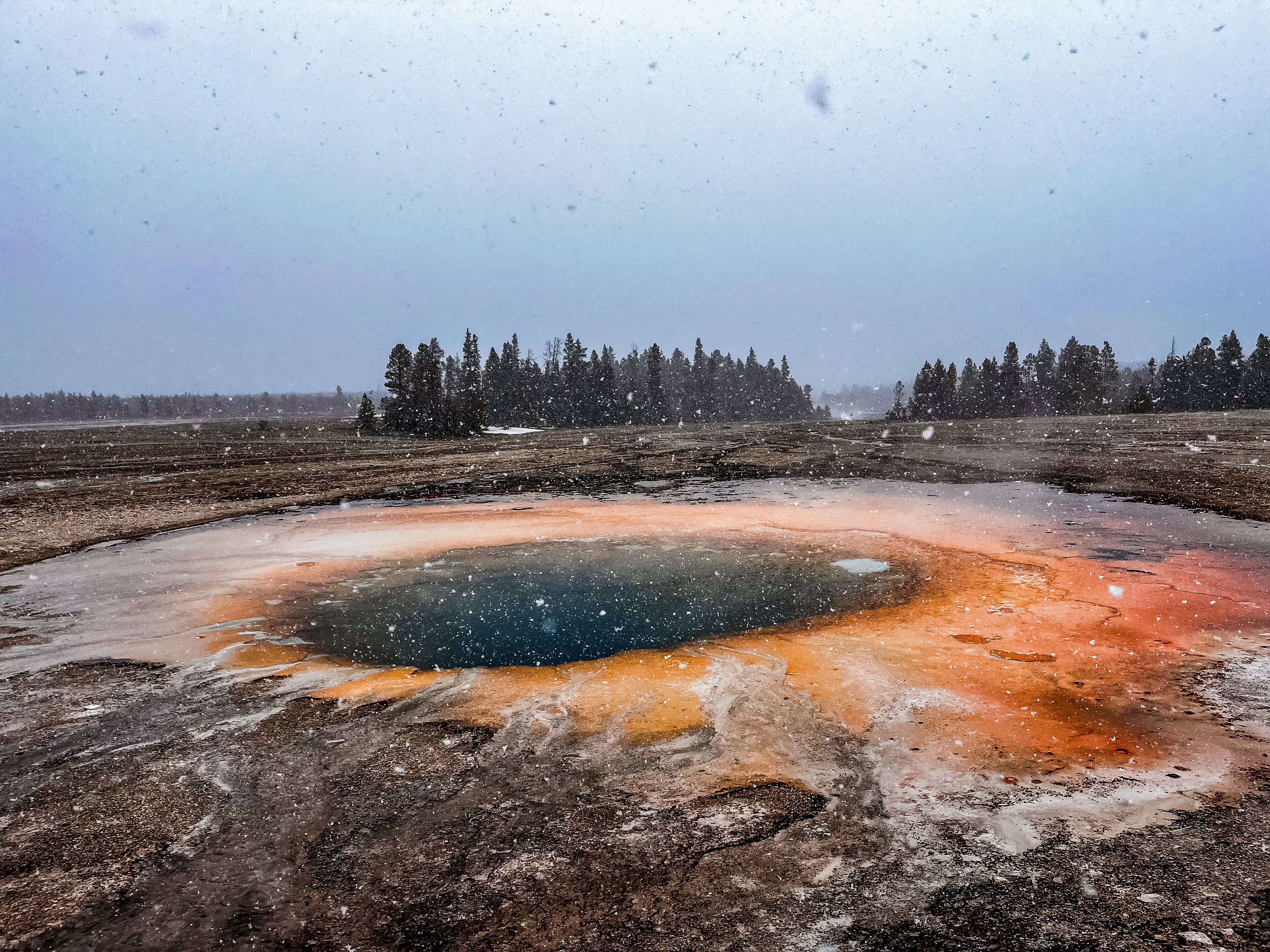 Opal Pool Yellowstone National Park by Paul Kestel
