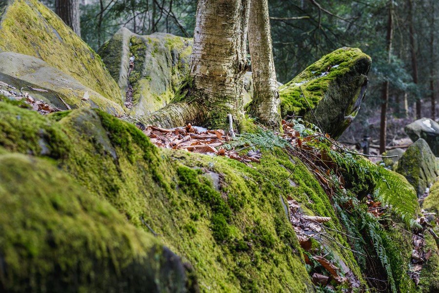 Cuyahoga Valley National Park by Paul Kestel