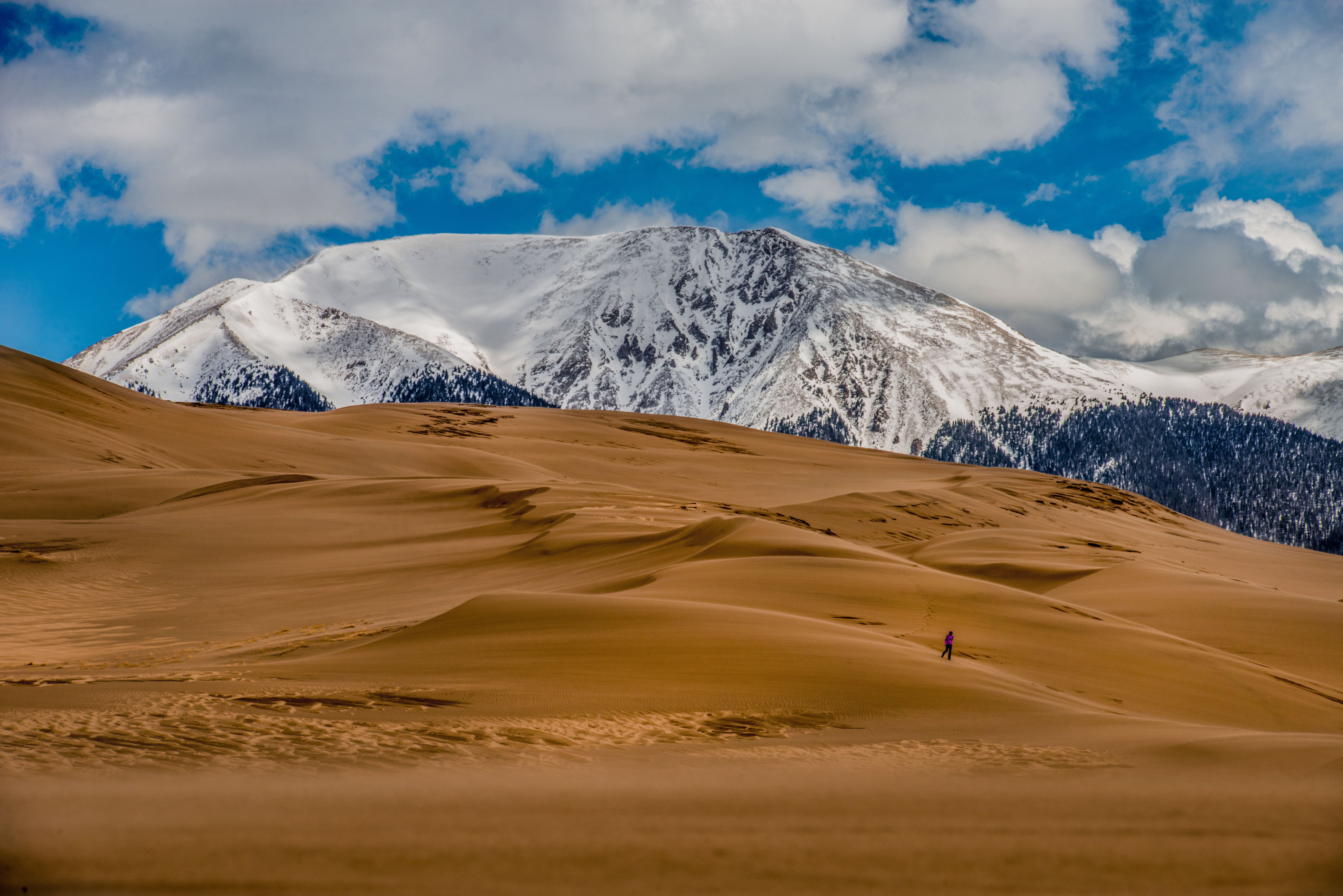 Lone Hiker Great Sand Dunes National Park by Paul Kestel