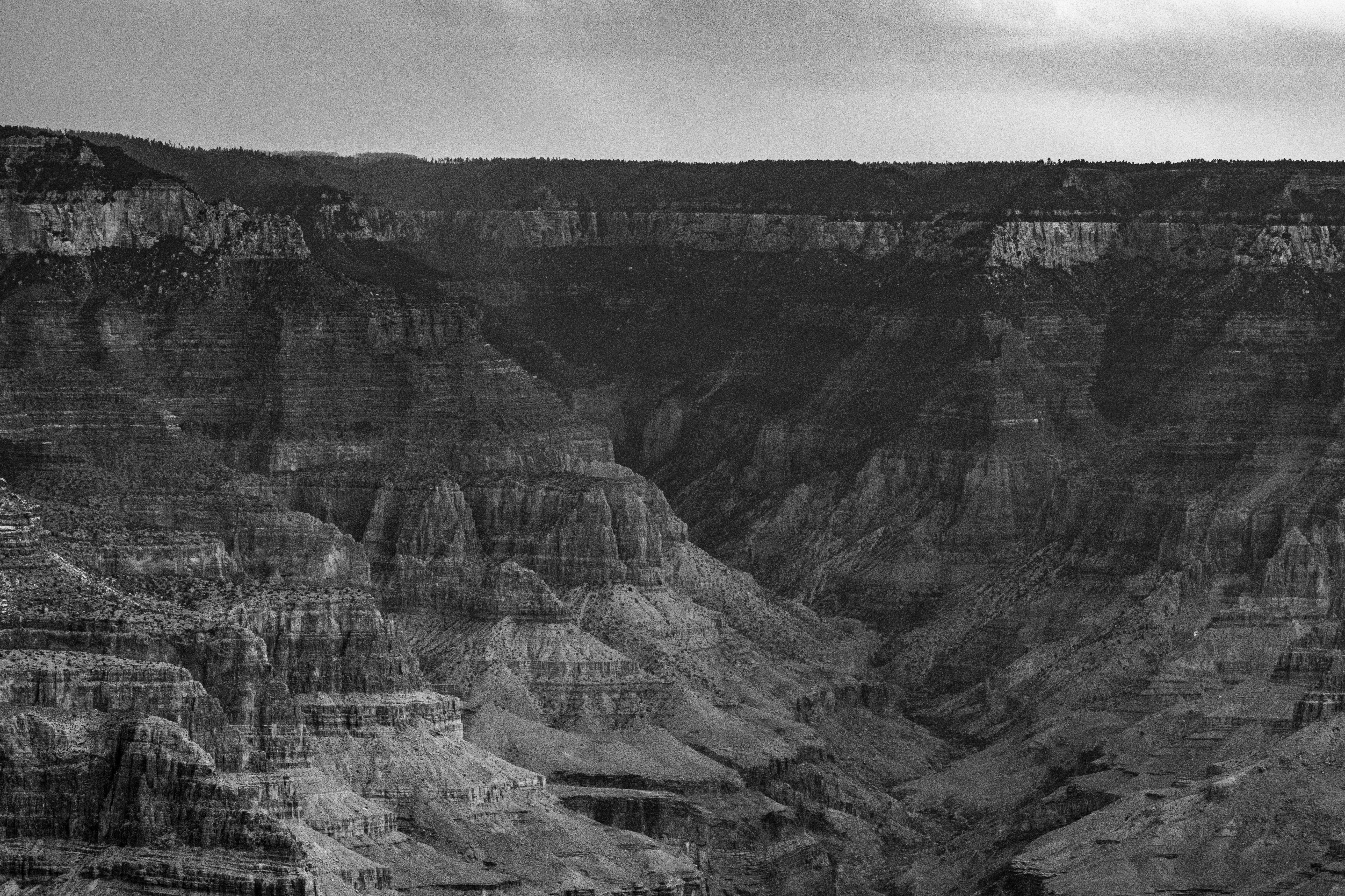 Grand Canyon B&W by Paul Kestel