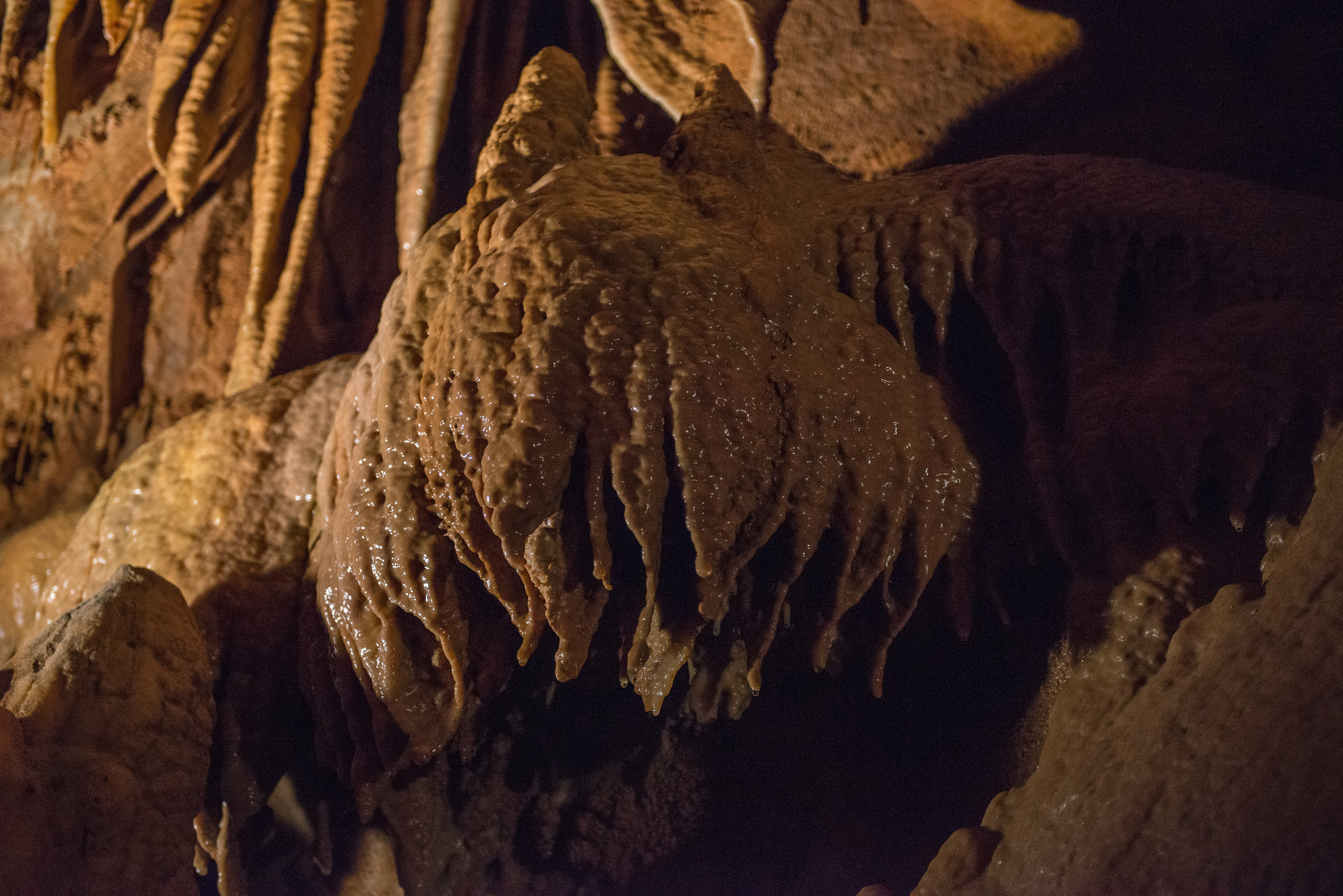 Mammoth Cave by Paul Kestel