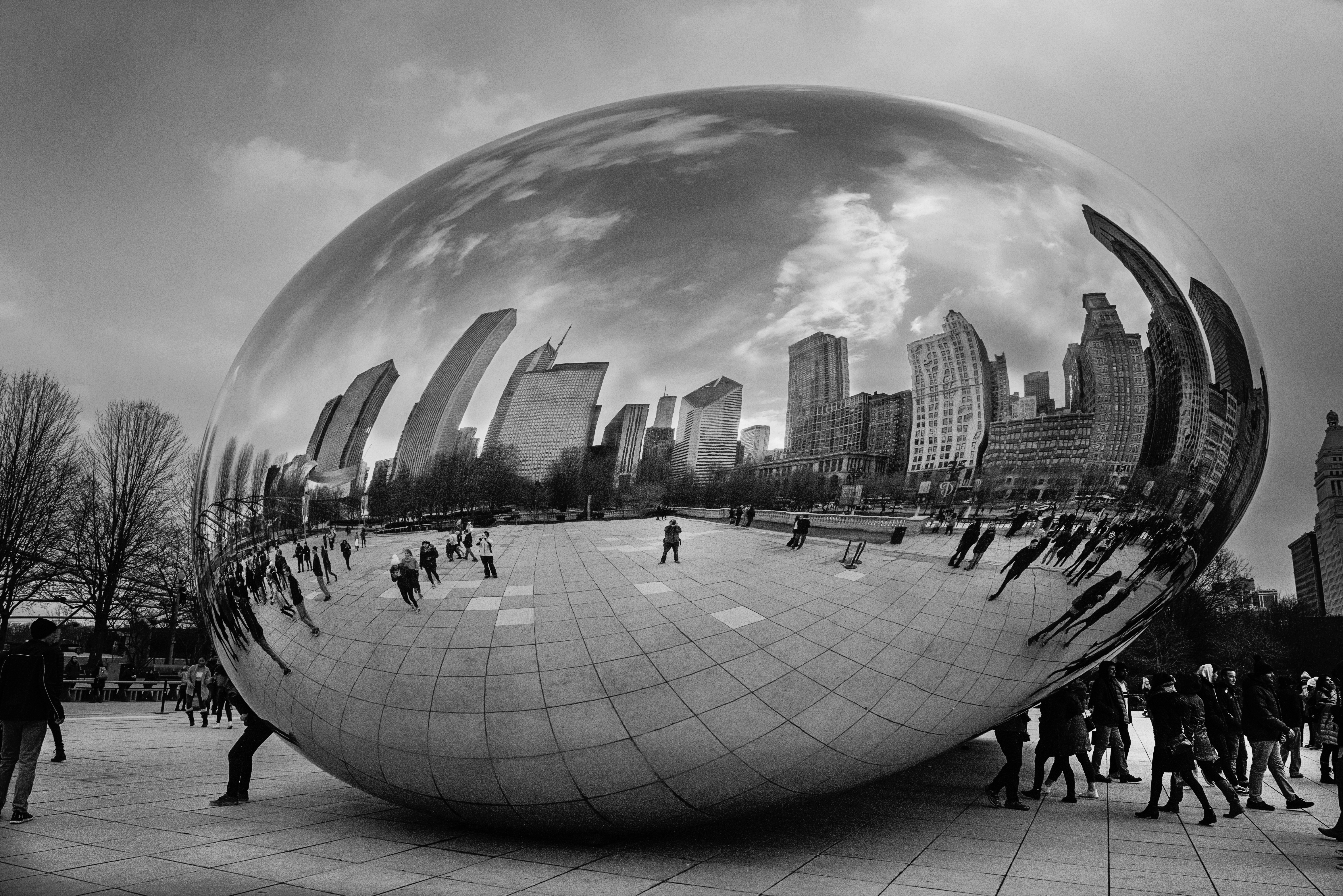 The Bean Reflections by Paul Kestel